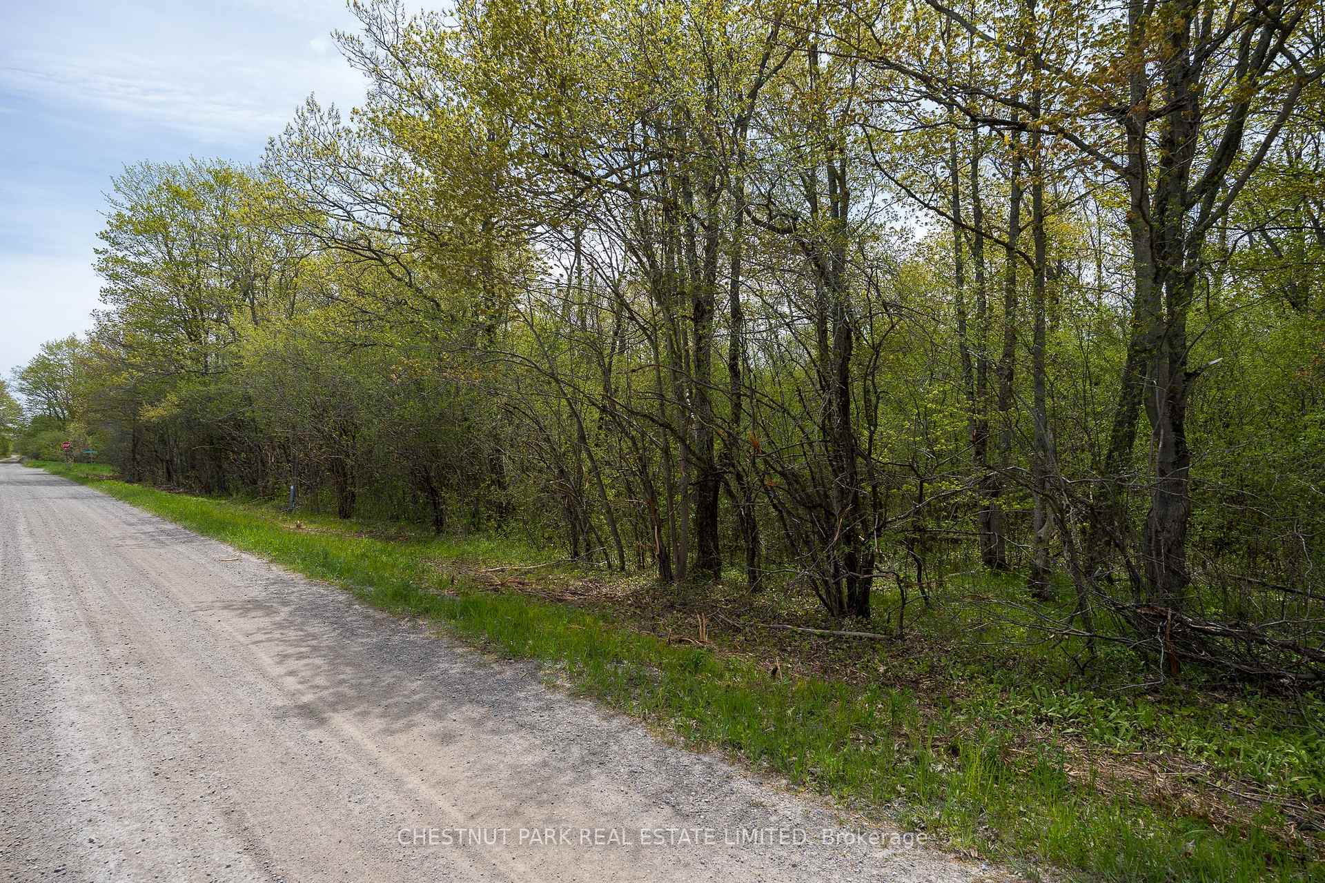 Photo 13 of 206 Simpson Road, Prince Edward County, Athol Ward — HOMEH