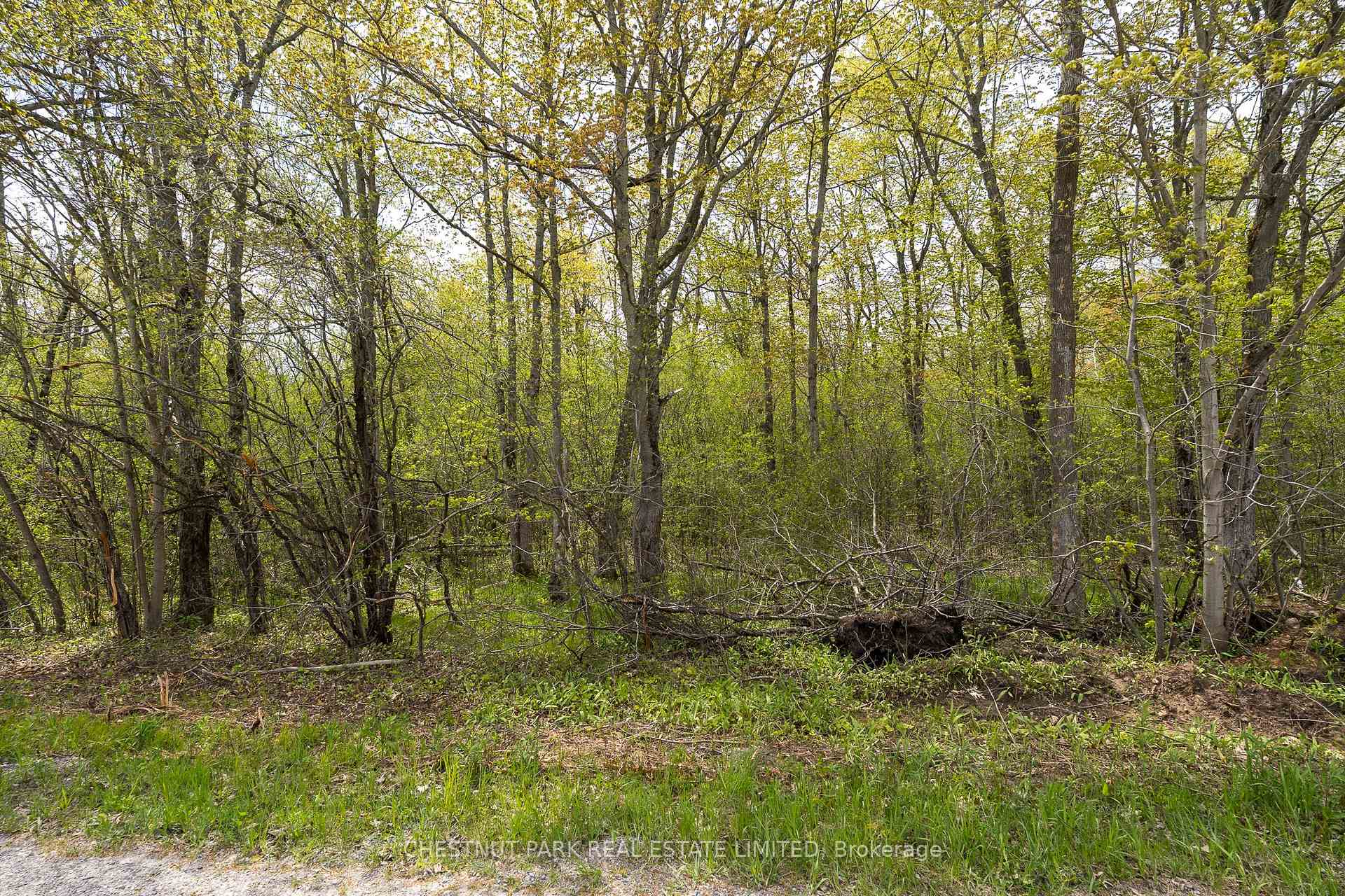 Photo 14 of 206 Simpson Road, Prince Edward County, Athol Ward — HOMEH