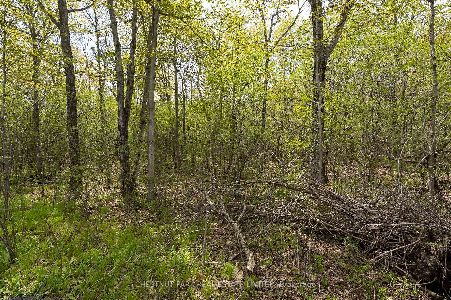 Photo 17 of 206 Simpson Road, Prince Edward County, Athol Ward — HOMEH