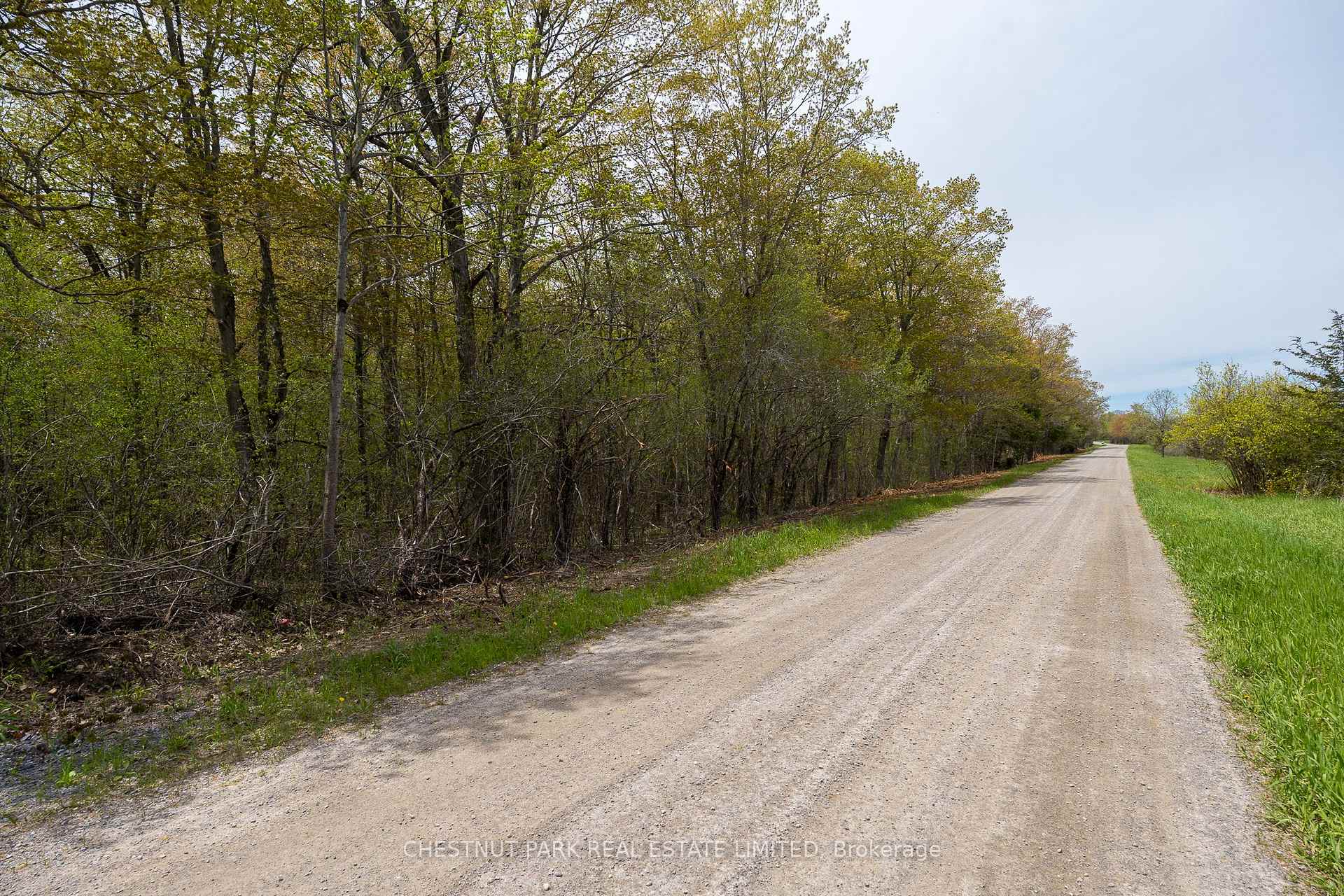 Photo 18 of 206 Simpson Road, Prince Edward County, Athol Ward — HOMEH