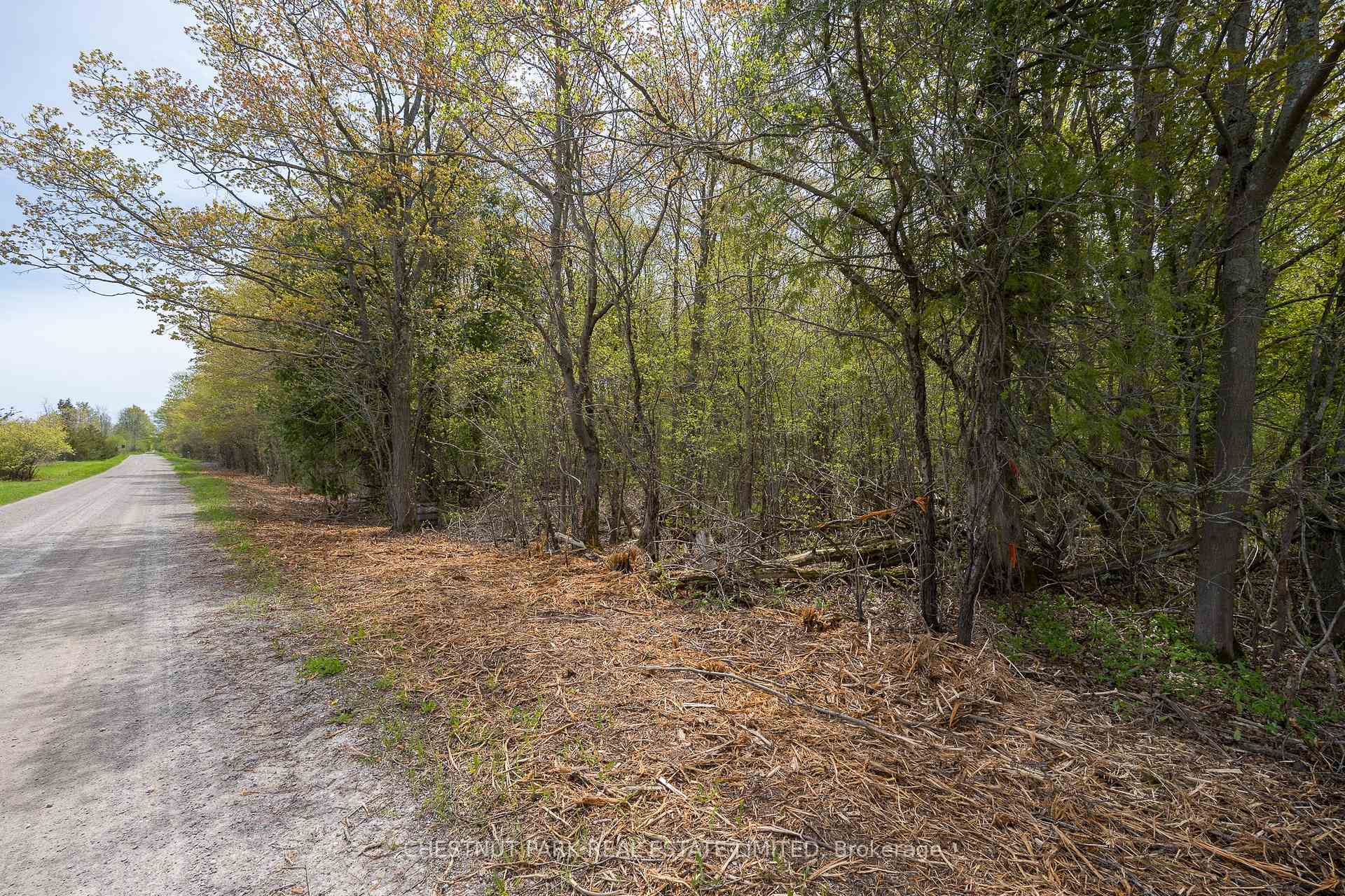Photo 19 of 206 Simpson Road, Prince Edward County, Athol Ward — HOMEH