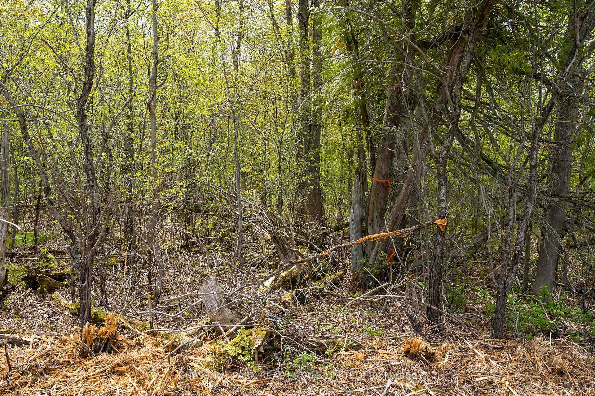 Photo 20 of 206 Simpson Road, Prince Edward County, Athol Ward — HOMEH