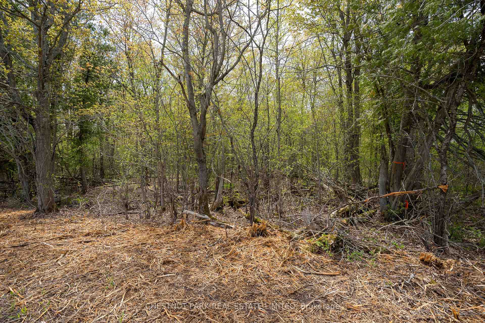Photo 21 of 206 Simpson Road, Prince Edward County, Athol Ward — HOMEH
