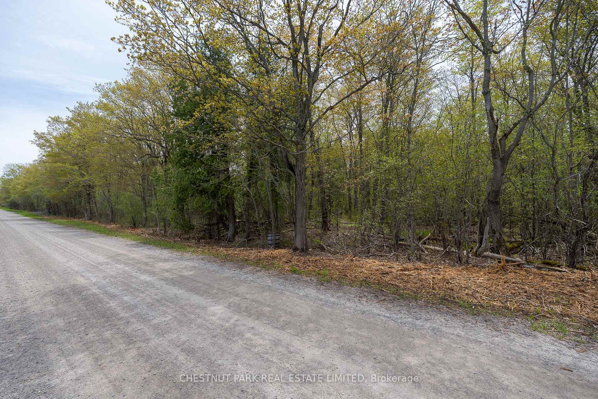 Photo 22 of 206 Simpson Road, Prince Edward County, Athol Ward — HOMEH