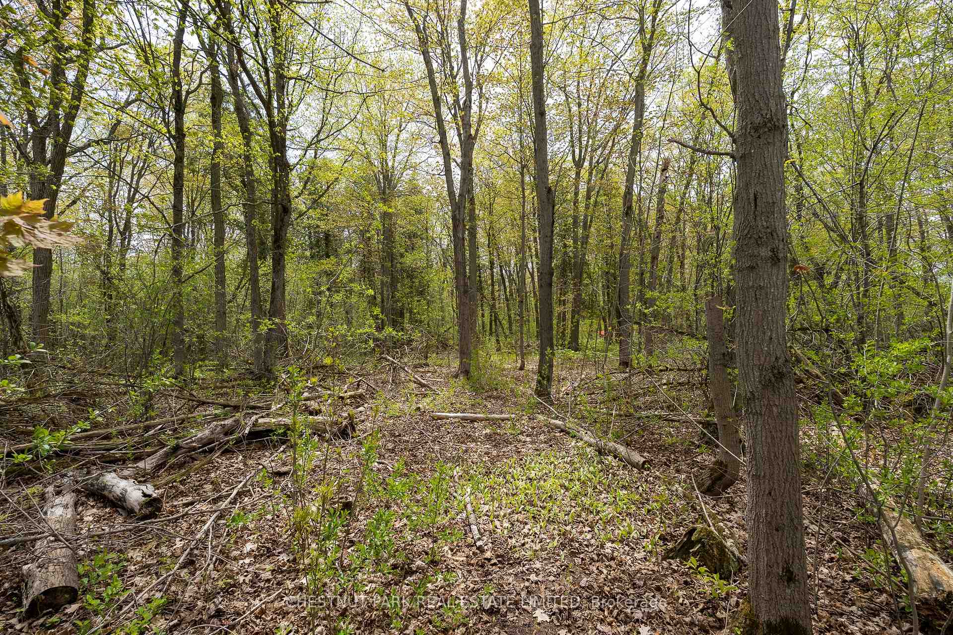 Photo 23 of 206 Simpson Road, Prince Edward County, Athol Ward — HOMEH