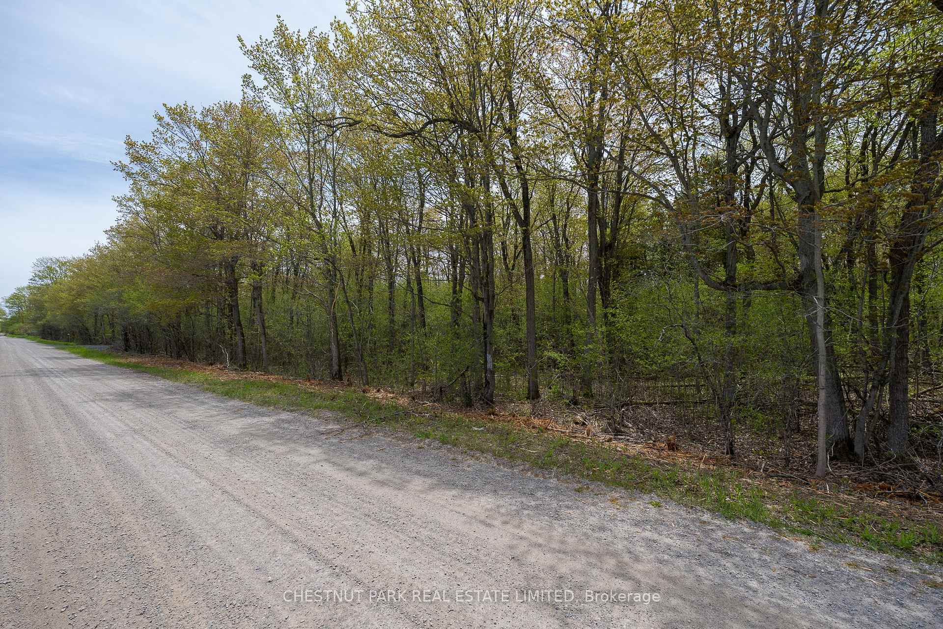 Photo 24 of 206 Simpson Road, Prince Edward County, Athol Ward — HOMEH