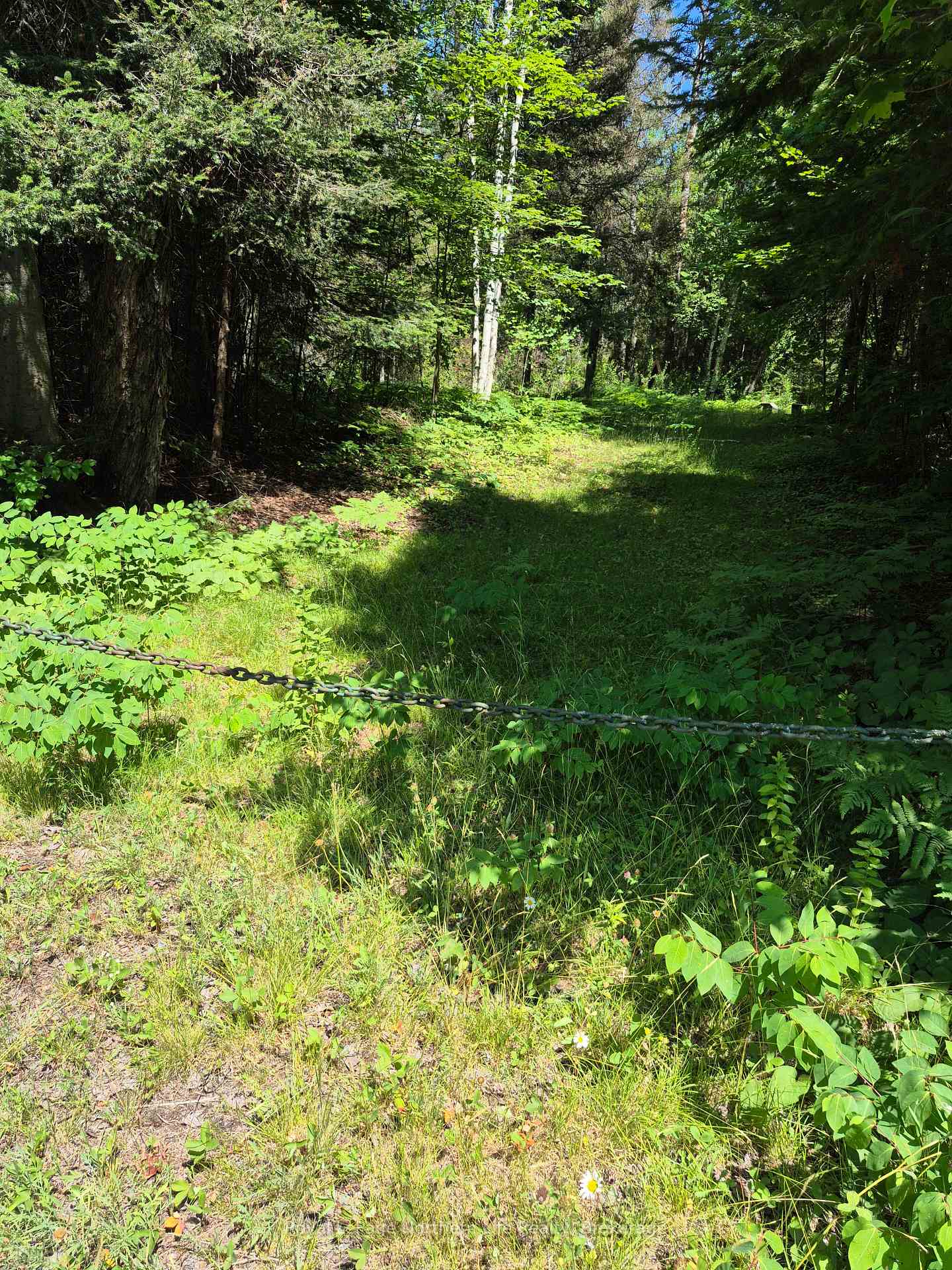 Photo 2 of 227 Richards Road, Papineau-Cameron, Papineau Cameron — HOMEH