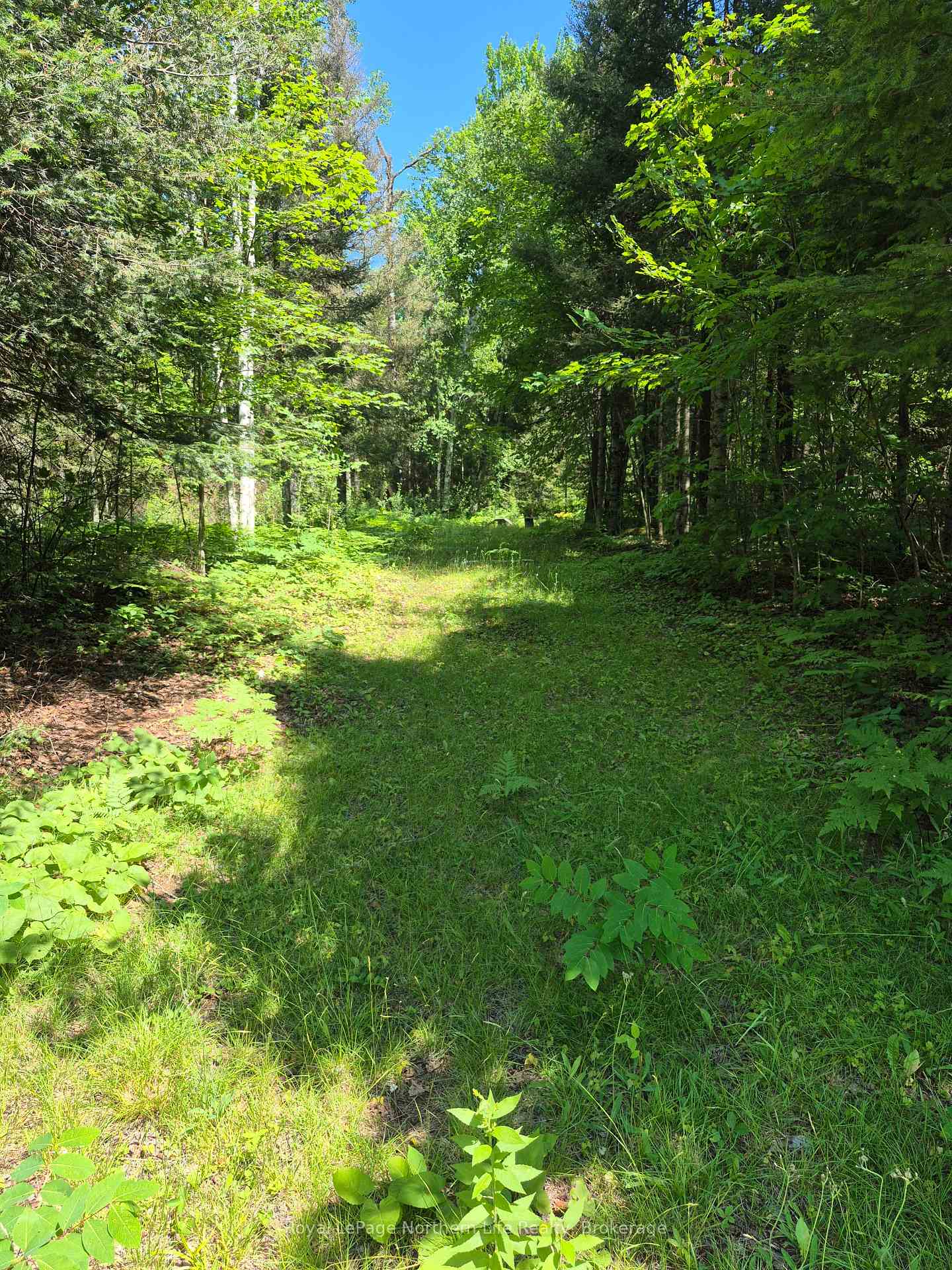 Photo 3 of 227 Richards Road, Papineau-Cameron, Papineau Cameron — HOMEH