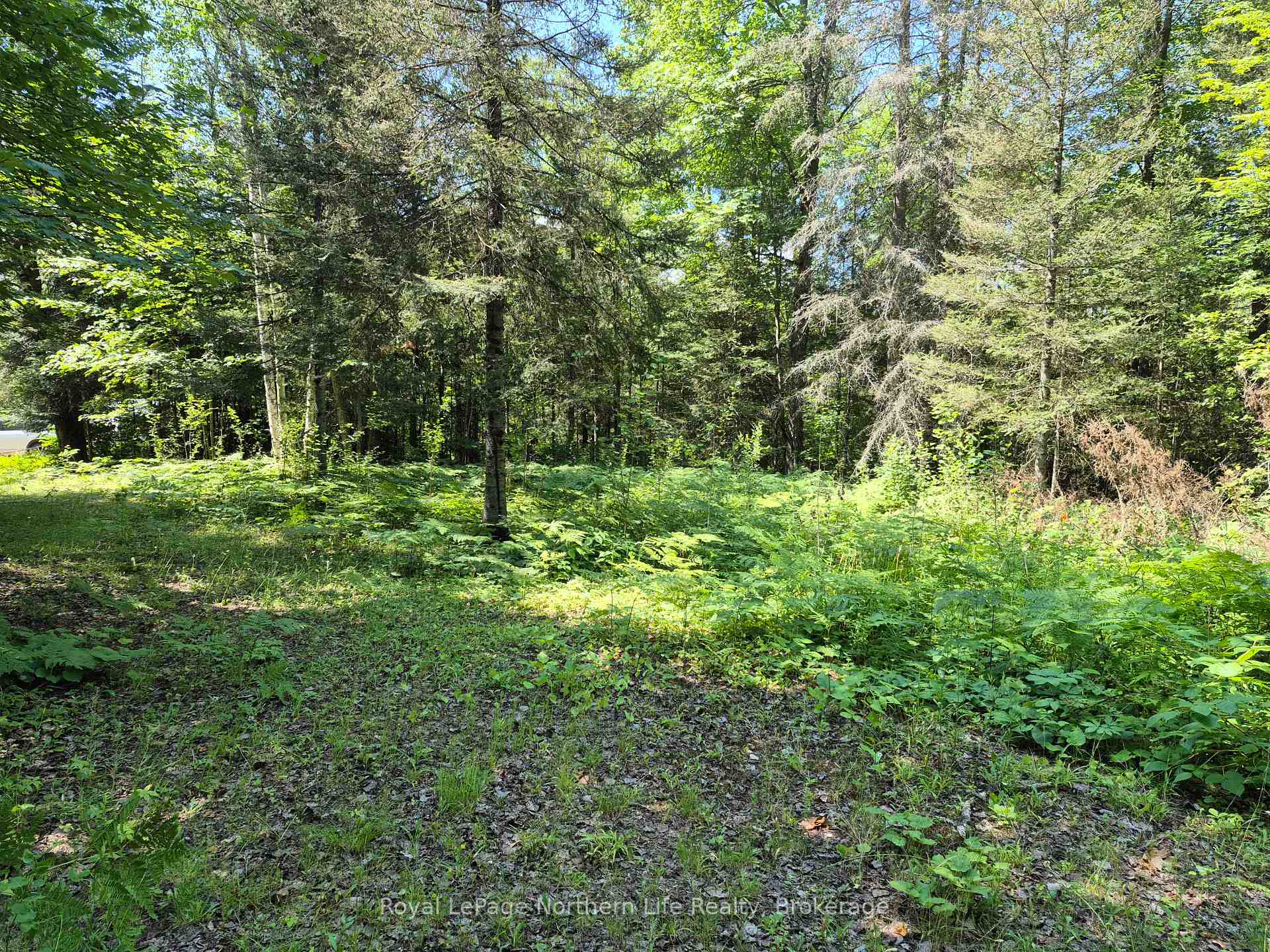 Photo 4 of 227 Richards Road, Papineau-Cameron, Papineau Cameron — HOMEH