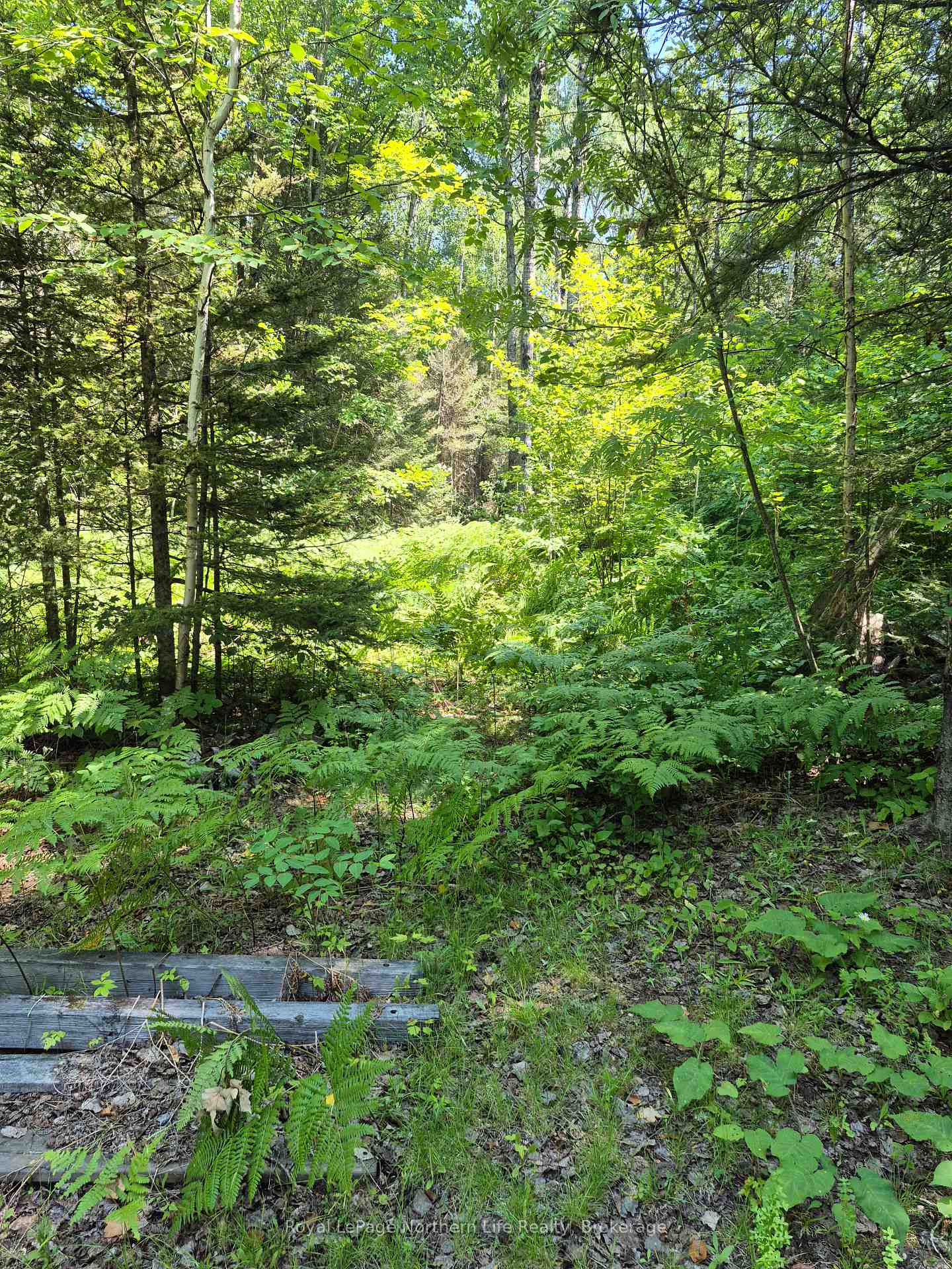 Photo 5 of 227 Richards Road, Papineau-Cameron, Papineau Cameron — HOMEH