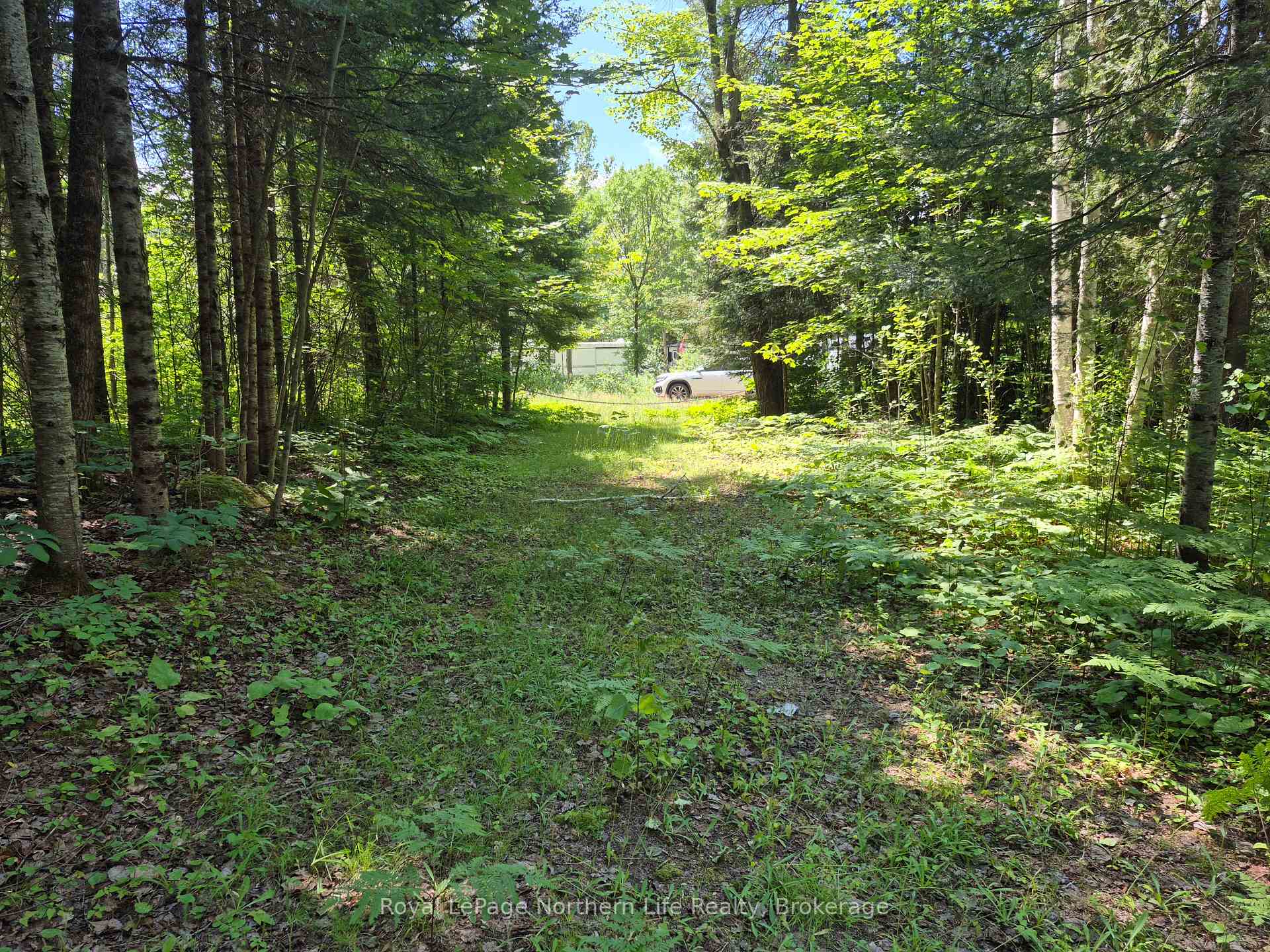 Photo 7 of 227 Richards Road, Papineau-Cameron, Papineau Cameron — HOMEH