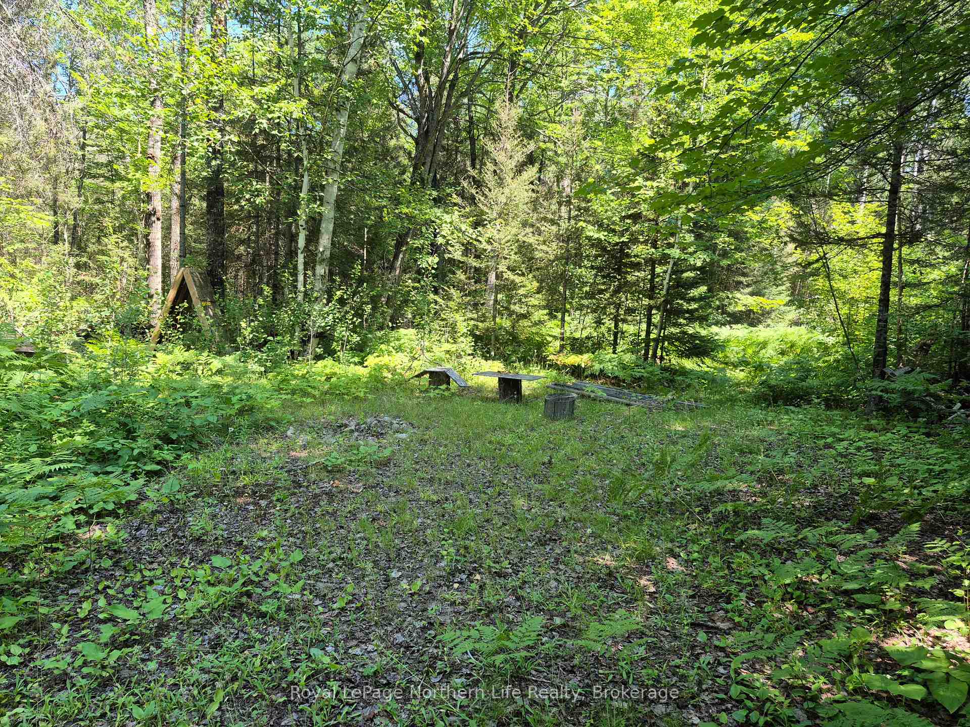 Photo 8 of 227 Richards Road, Papineau-Cameron, Papineau Cameron — HOMEH