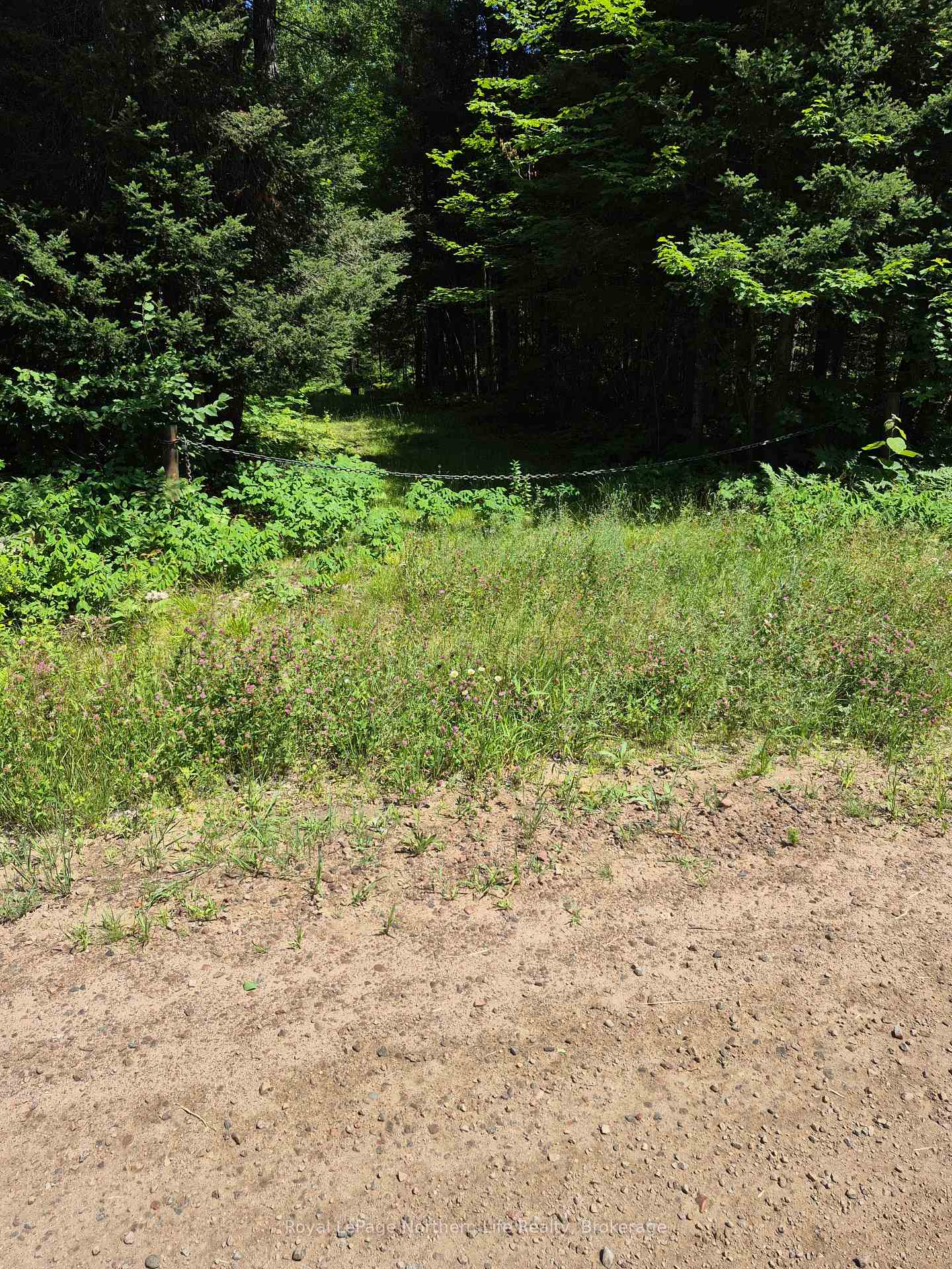 Photo 9 of 227 Richards Road, Papineau-Cameron, Papineau Cameron — HOMEH