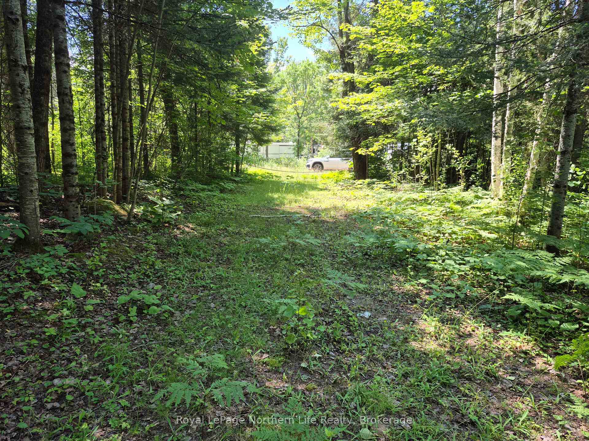 Photo 10 of 227 Richards Road, Papineau-Cameron, Papineau Cameron — HOMEH