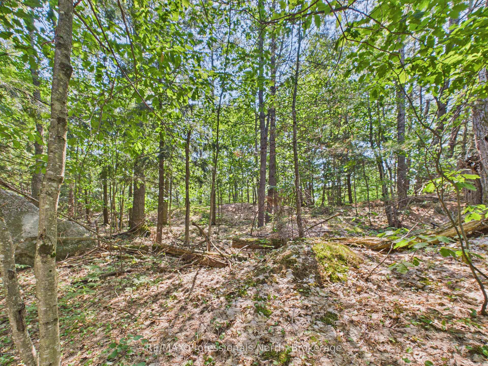 Photo 30 of 800 Manitoba Street, Bracebridge, Macaulay — HOMEH