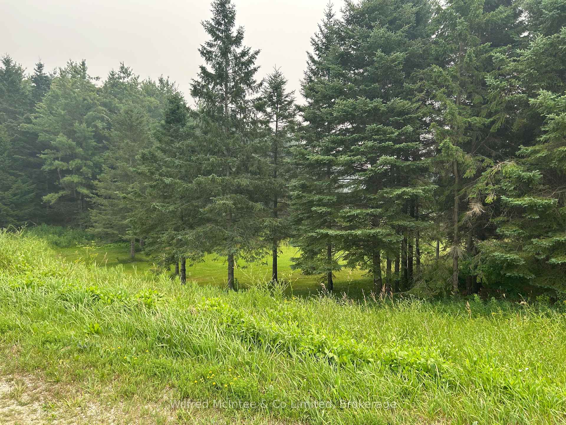 Photo 4 of 00 Airport Road, Brockton — HOMEH