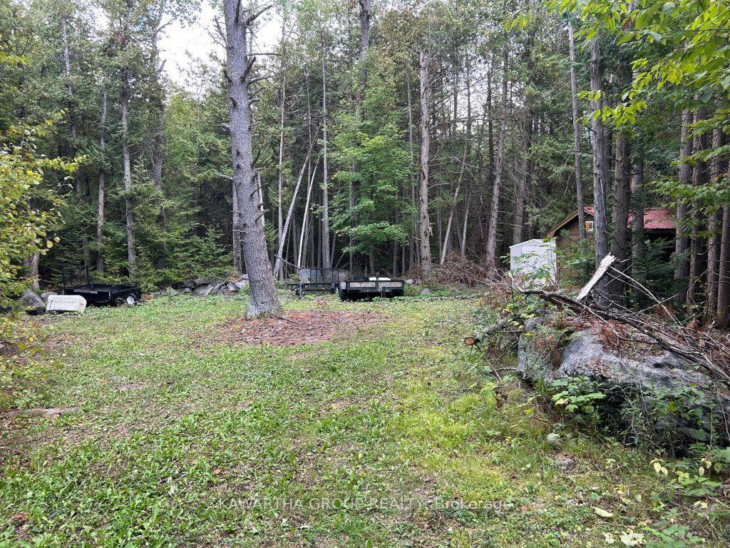 Photo of 176 Base Line Road