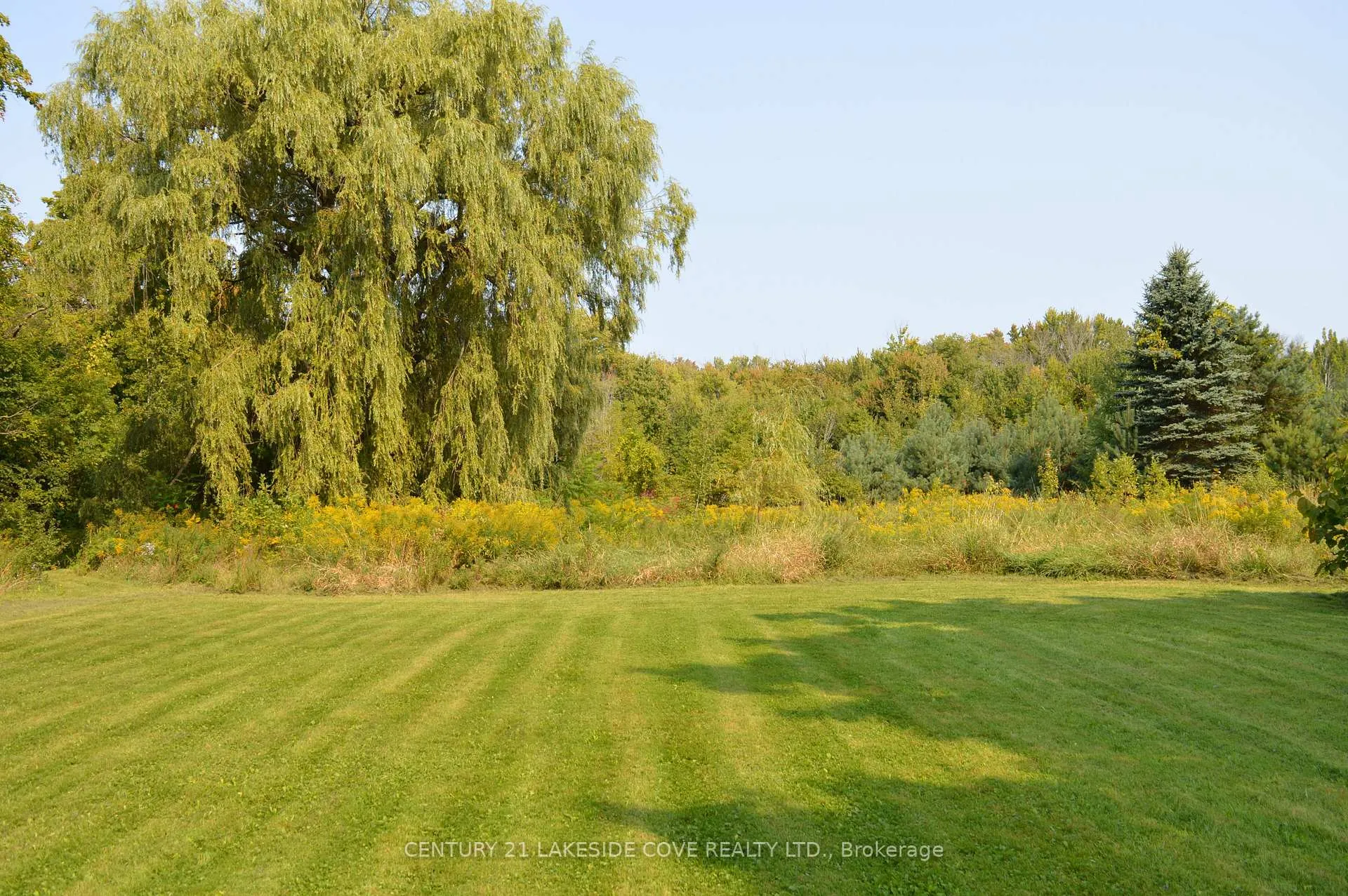 Photo 29 of 2578 Simcoe Road, Ramara, Brechin — HOMEH