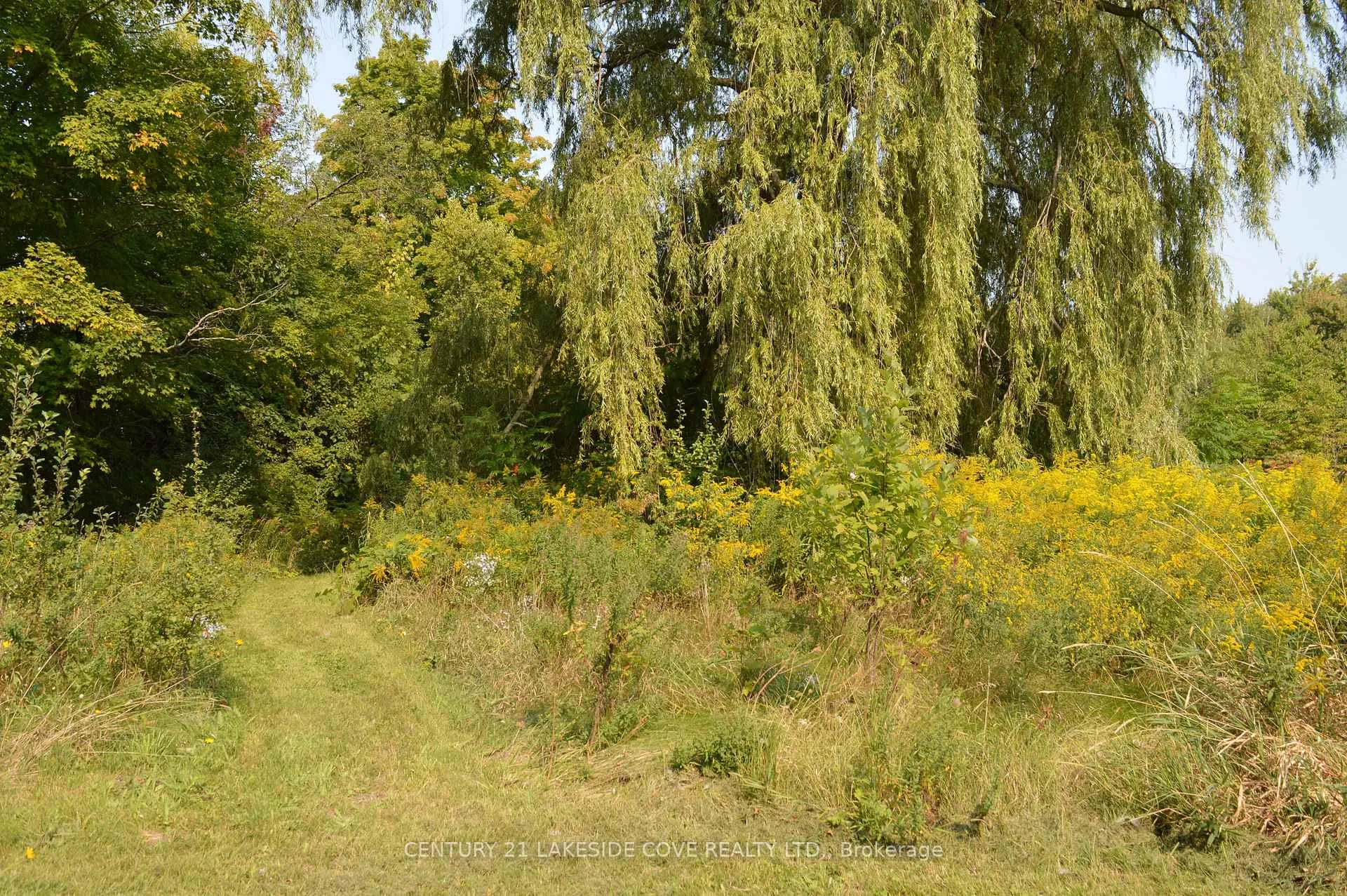 Photo 31 of 2578 Simcoe Road, Ramara, Brechin — HOMEH