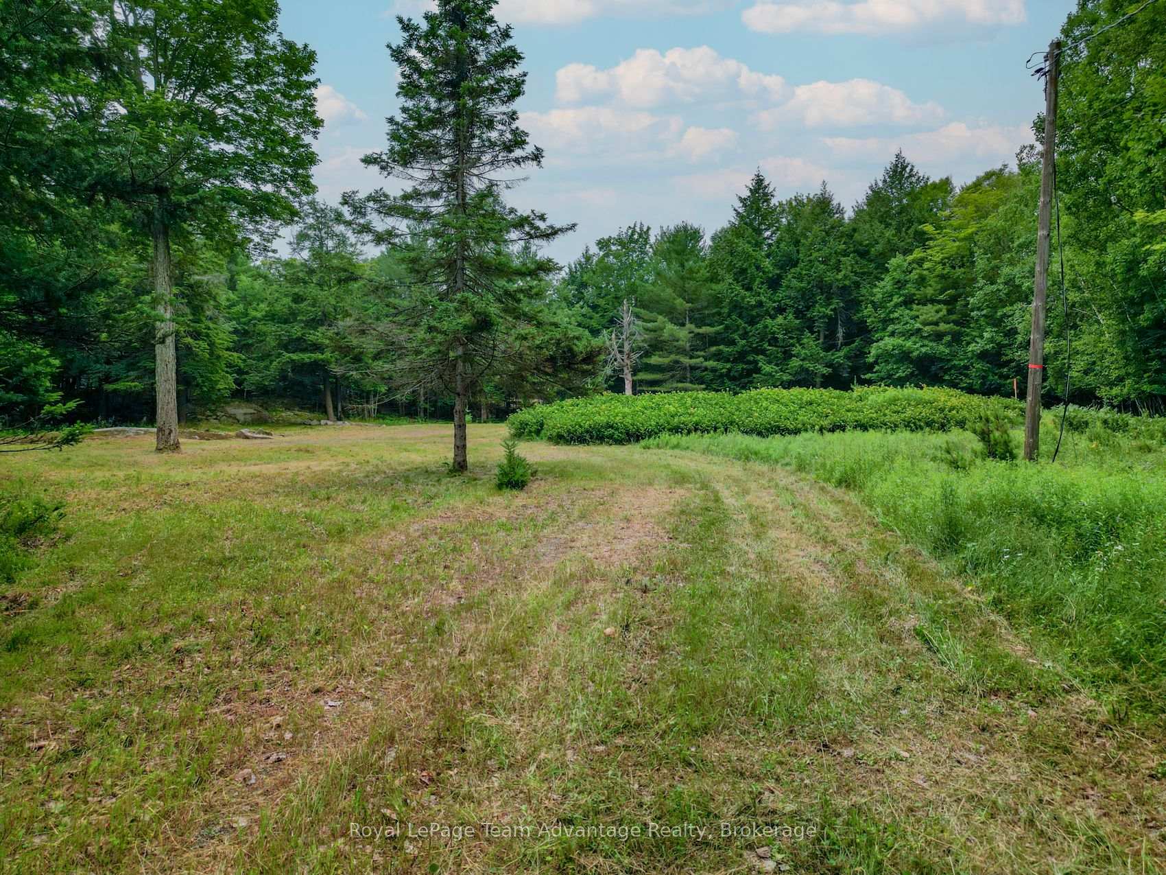 Photo 10 of 97 Carling Bay Rd W, Carling — HOMEH