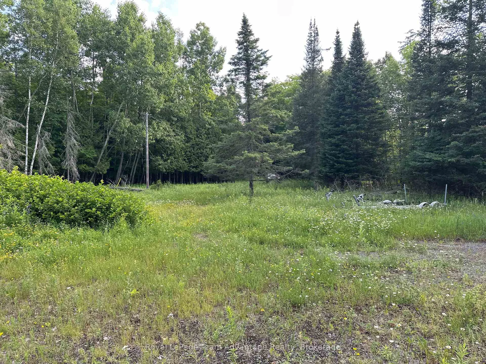 Photo 25 of 97 Carling Bay Rd W, Carling — HOMEH