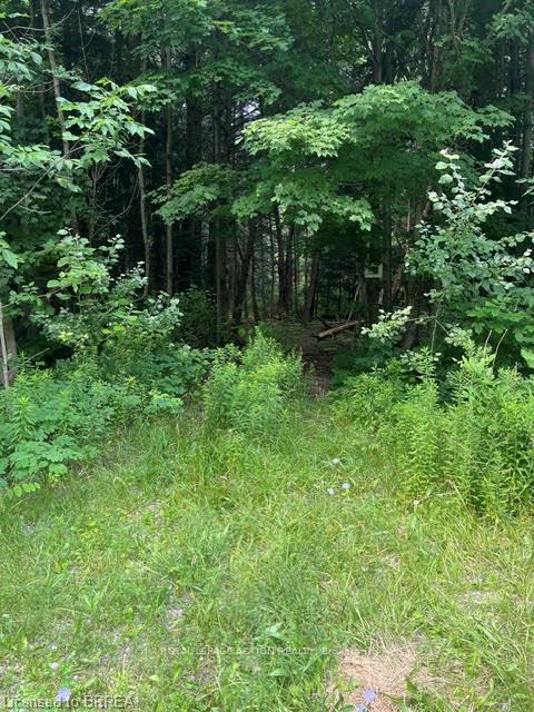 Photo 7 of 00 Highway 24, Brant, Brantford Twp — HOMEH