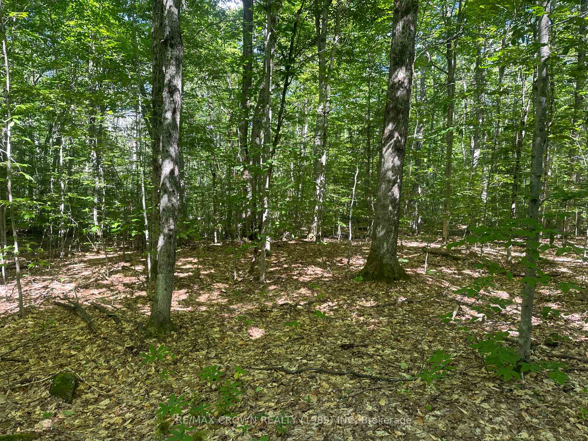 Photo 1 of PCL 9490 Sec Ns, Bonfield — HOMEH