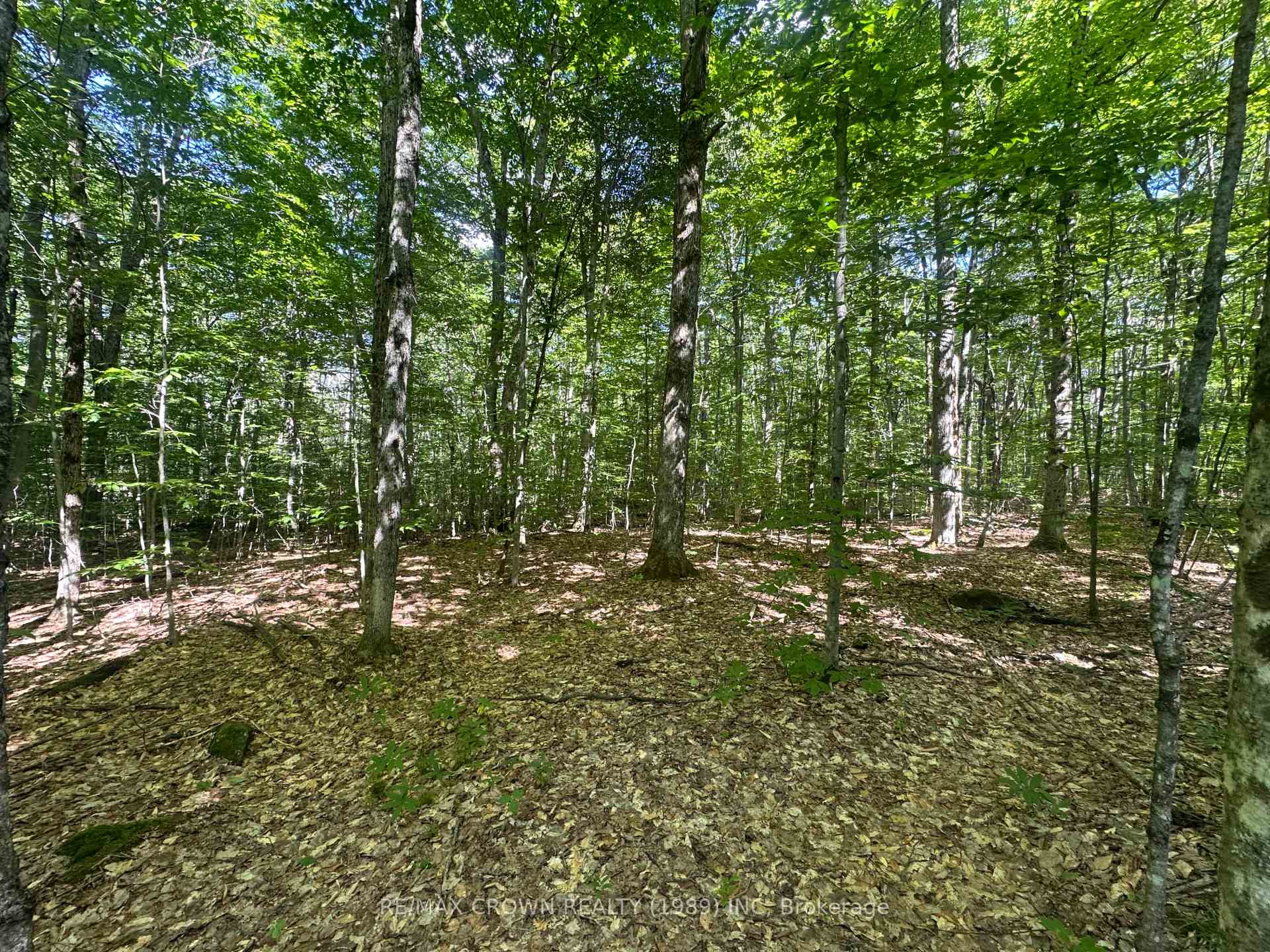 Photo 2 of PCL 9490 Sec Ns, Bonfield — HOMEH
