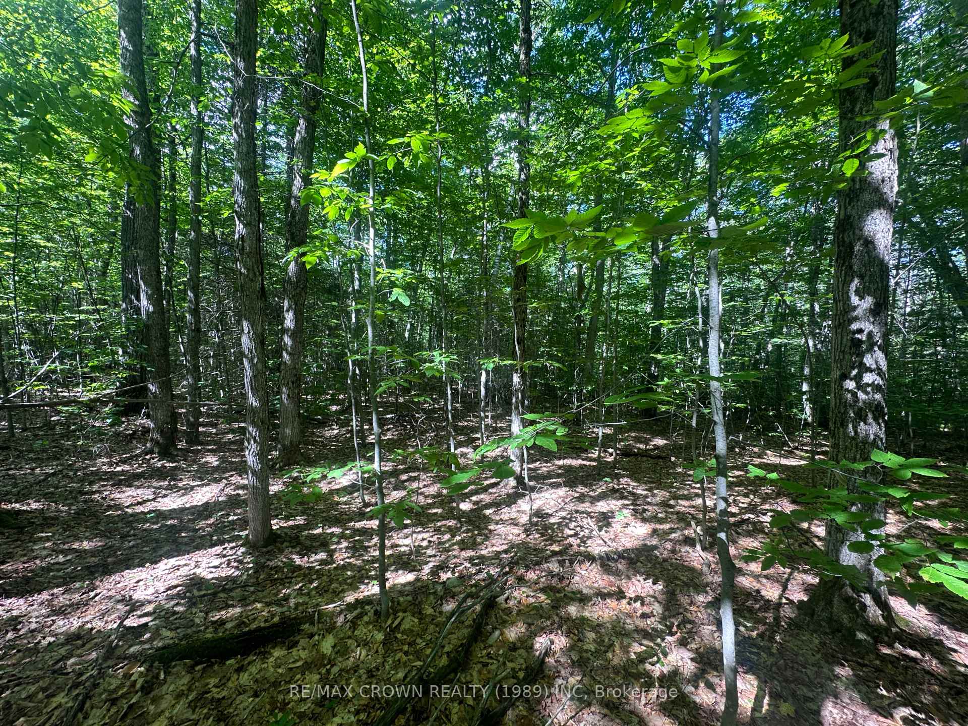 Photo 3 of PCL 9490 Sec Ns, Bonfield — HOMEH