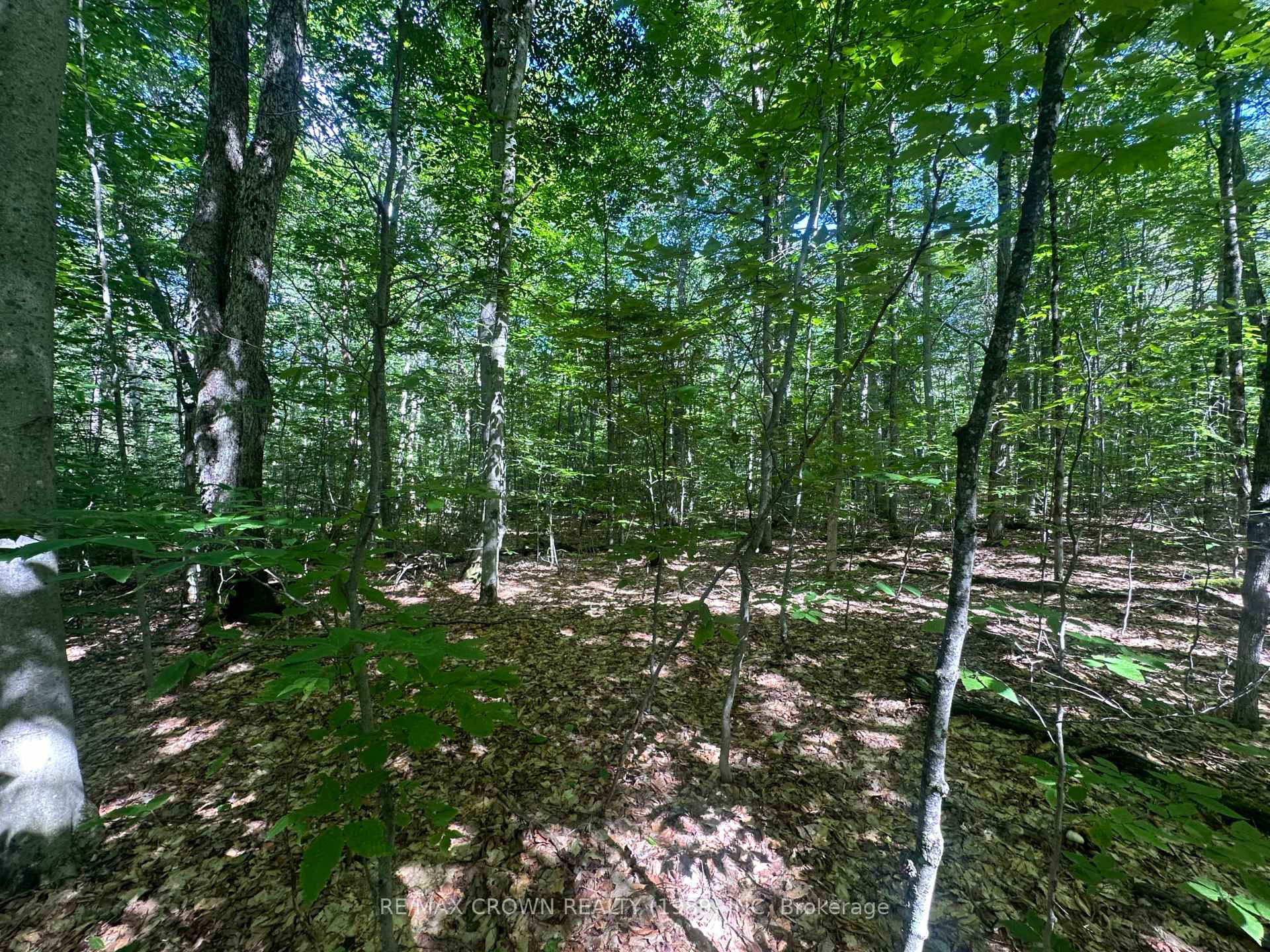 Photo 4 of PCL 9490 Sec Ns, Bonfield — HOMEH