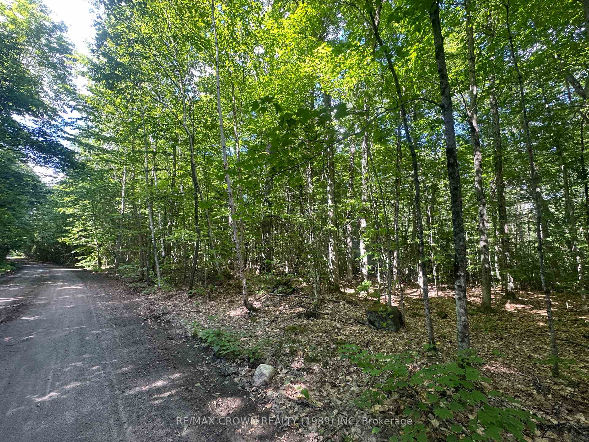 Photo 5 of PCL 9490 Sec Ns, Bonfield — HOMEH
