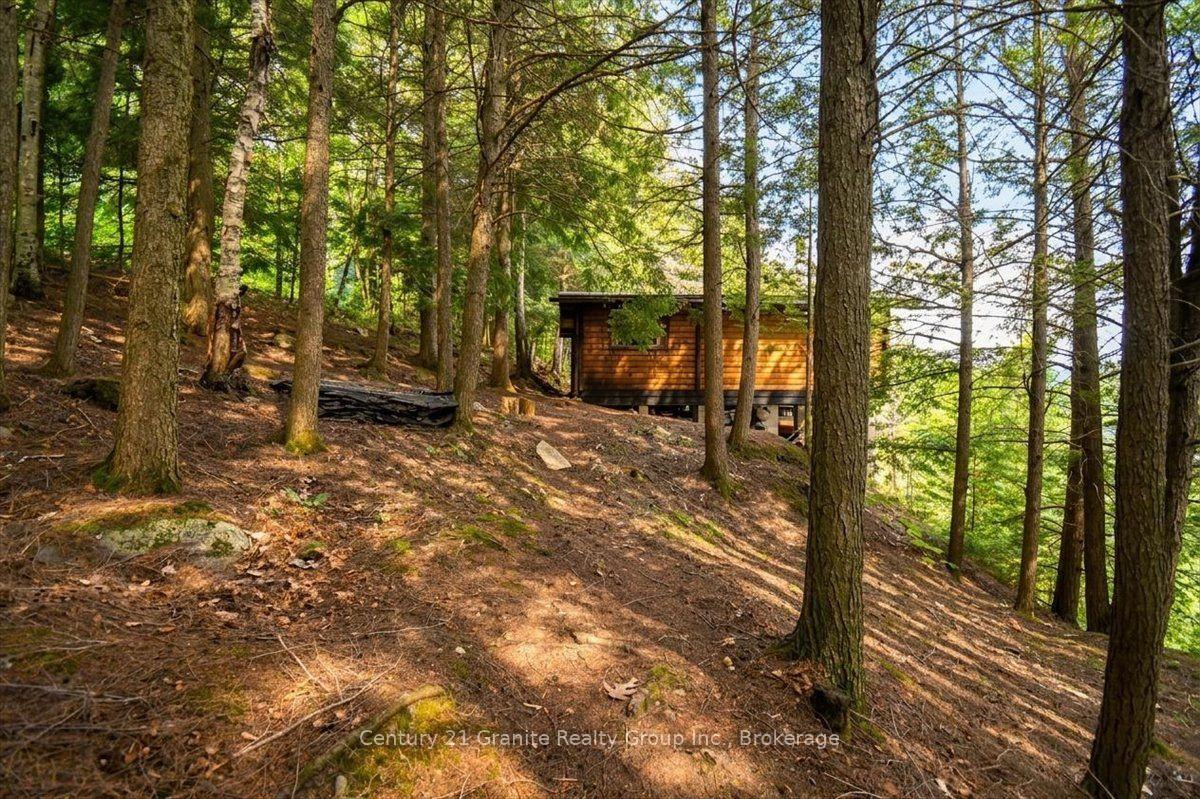Photo 11 of 20733 Upper Paudash Road, Highlands East, Cardiff Ward — HOMEH