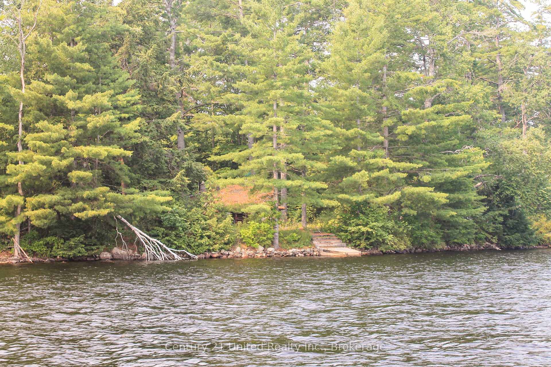 Photo 4 of 47 McKee Avenue, Trent Lakes — HOMEH