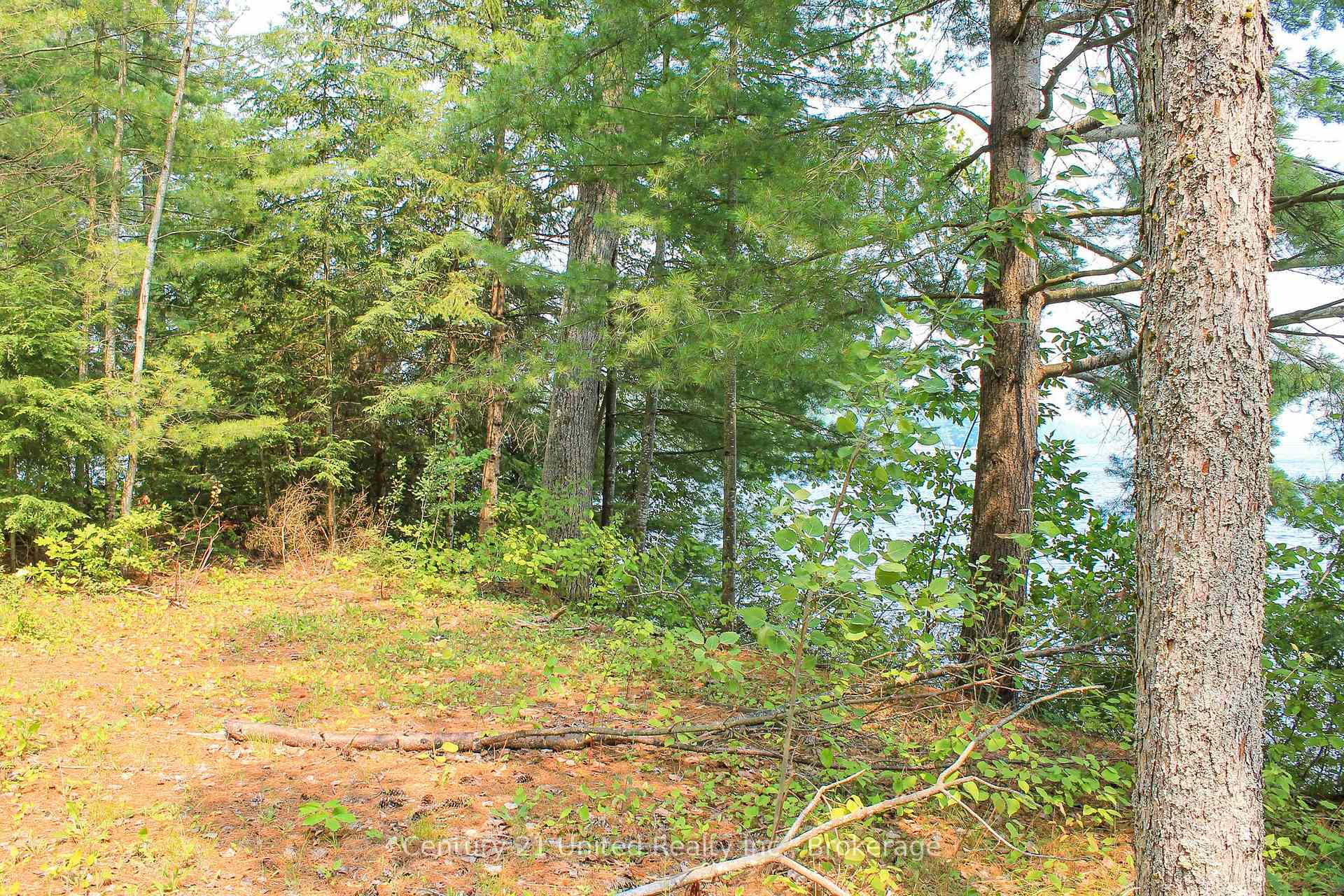 Photo 6 of 47 McKee Avenue, Trent Lakes — HOMEH