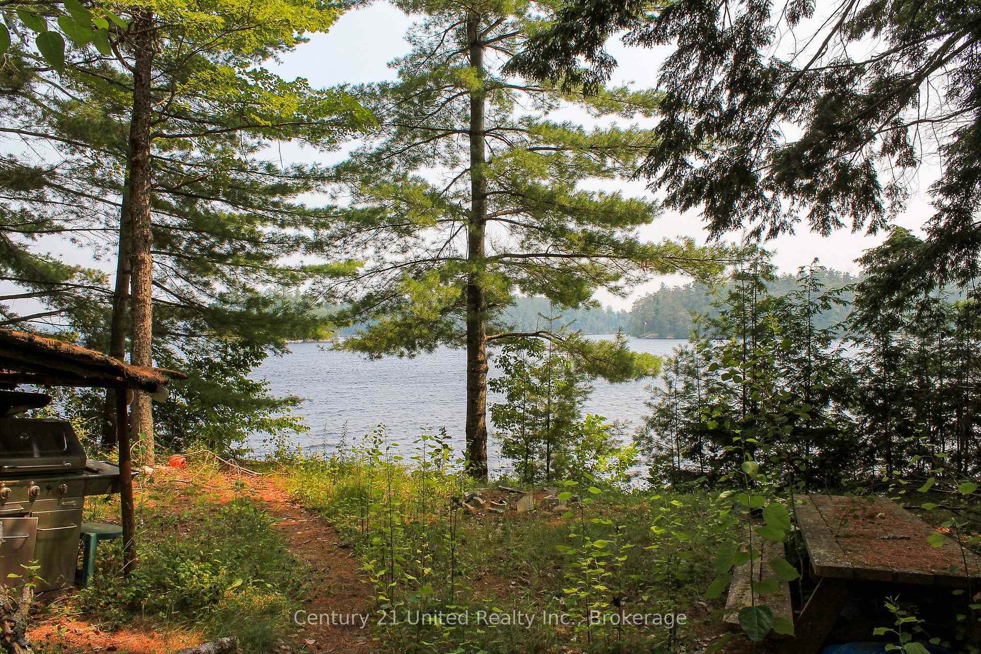 Photo 7 of 47 McKee Avenue, Trent Lakes — HOMEH