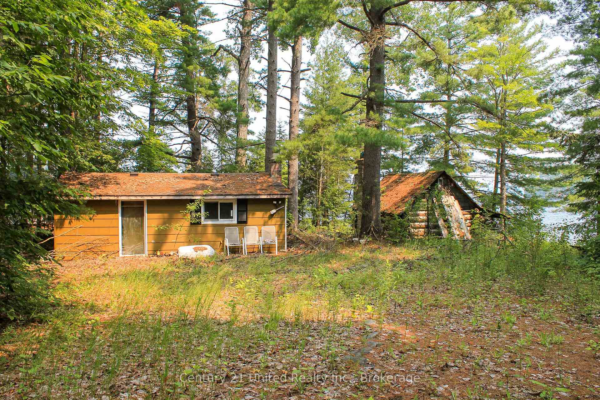 Photo 8 of 47 McKee Avenue, Trent Lakes — HOMEH