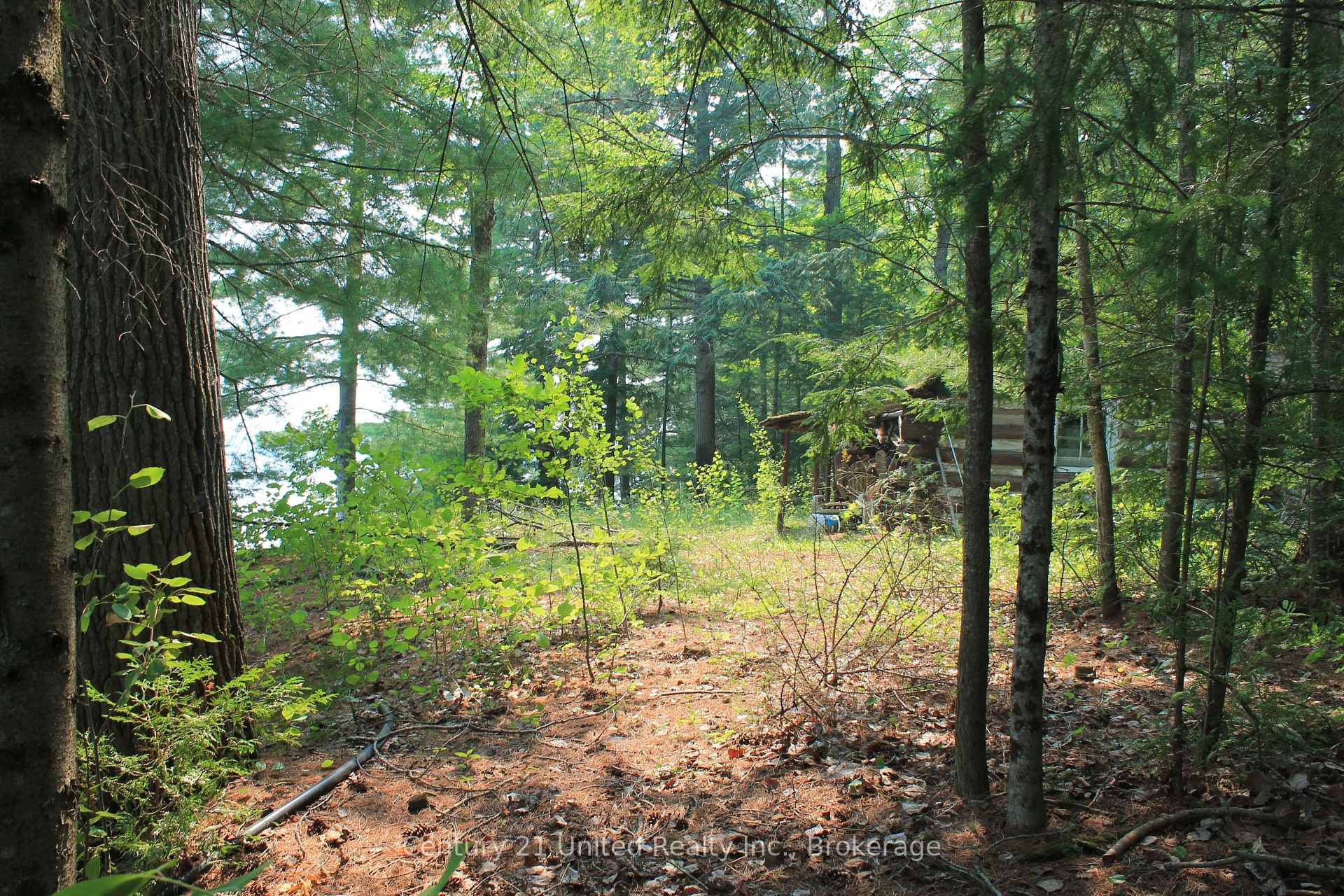 Photo 9 of 47 McKee Avenue, Trent Lakes — HOMEH