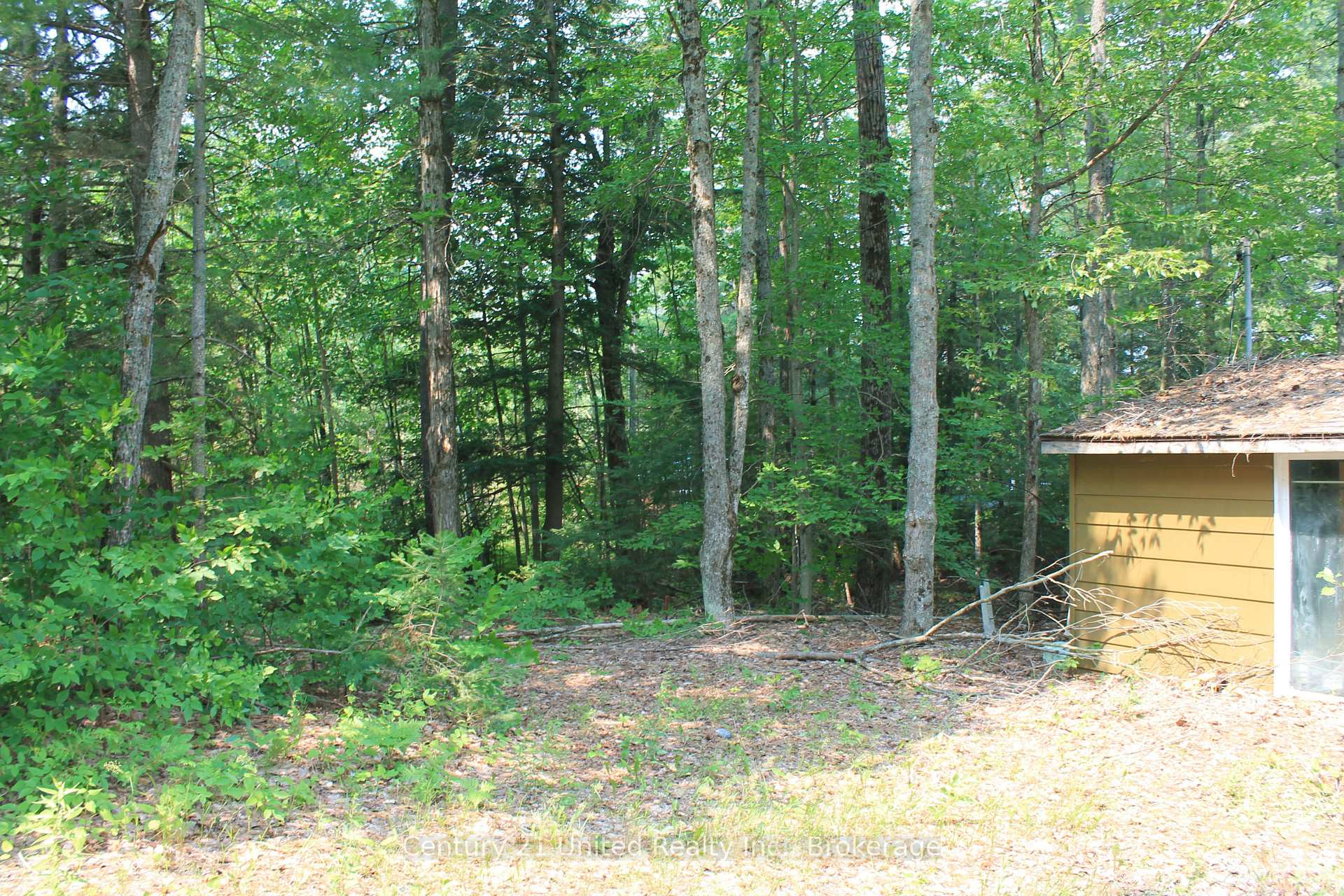 Photo 10 of 47 McKee Avenue, Trent Lakes — HOMEH