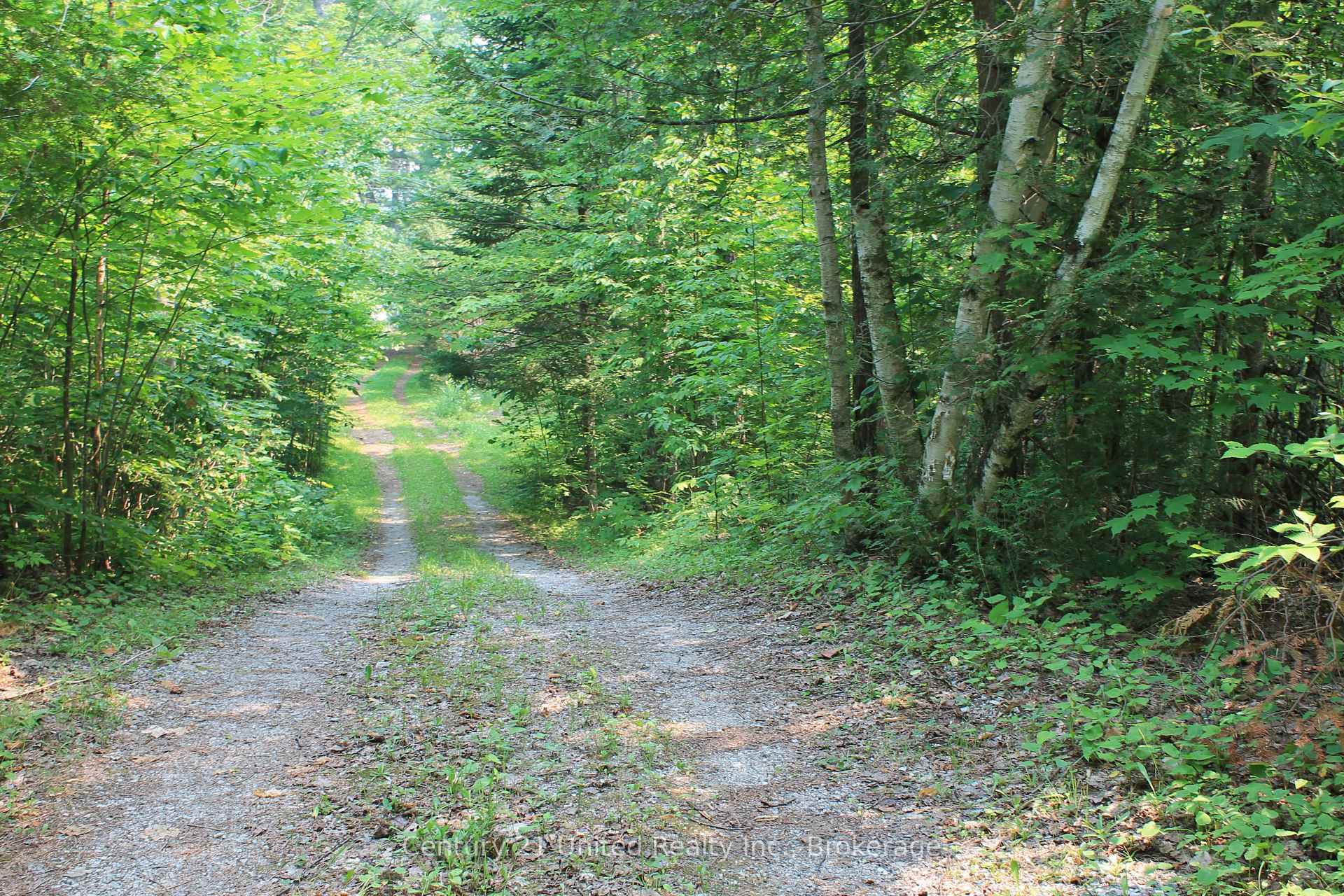Photo 11 of 47 McKee Avenue, Trent Lakes — HOMEH