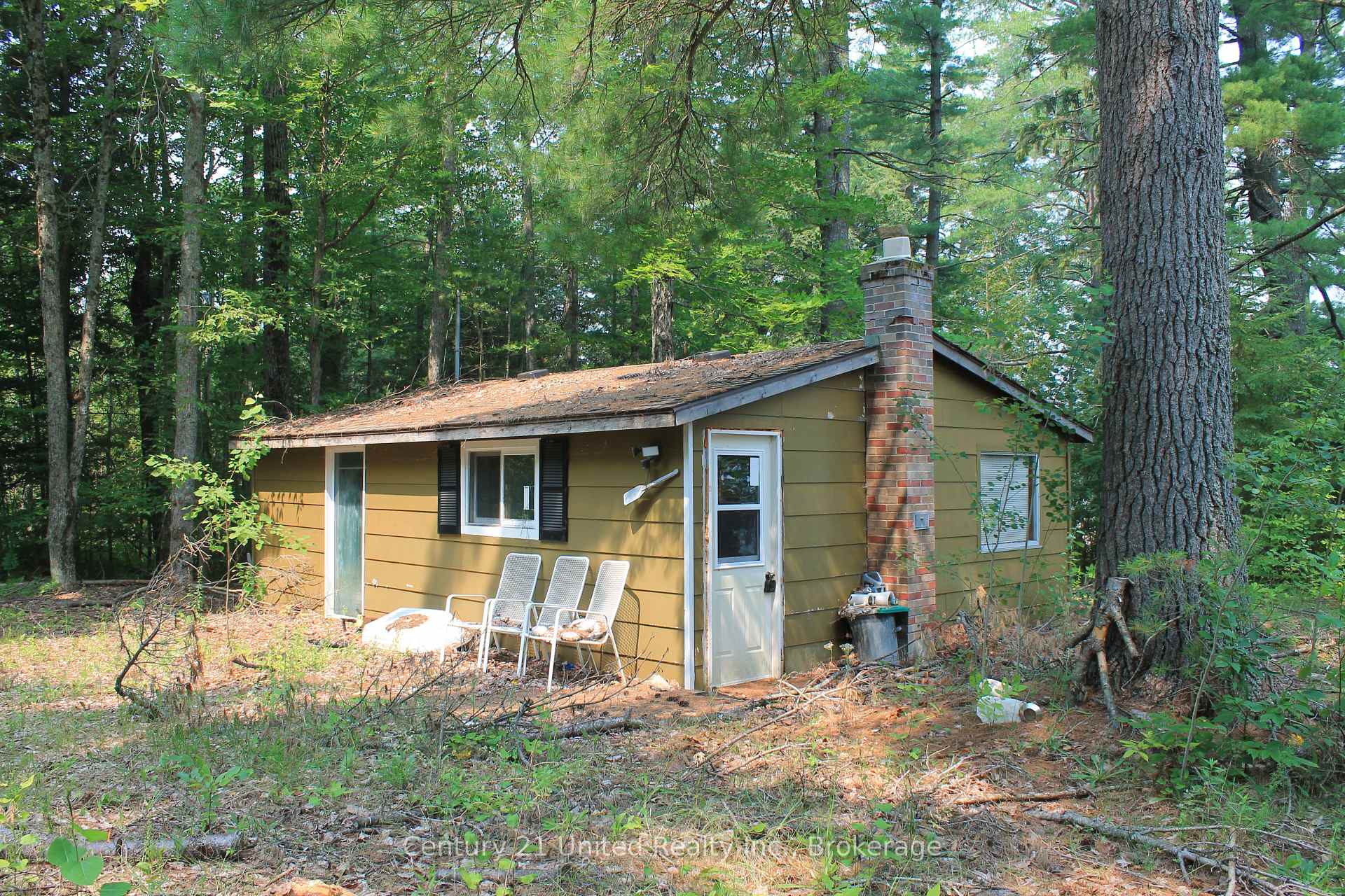 Photo 17 of 47 McKee Avenue, Trent Lakes — HOMEH
