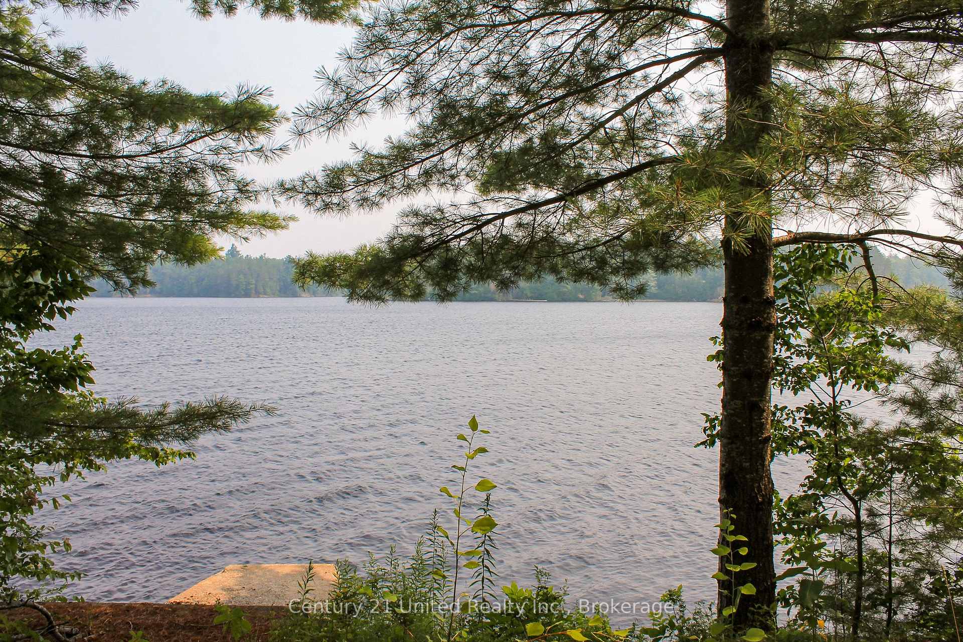 Photo 18 of 47 McKee Avenue, Trent Lakes — HOMEH
