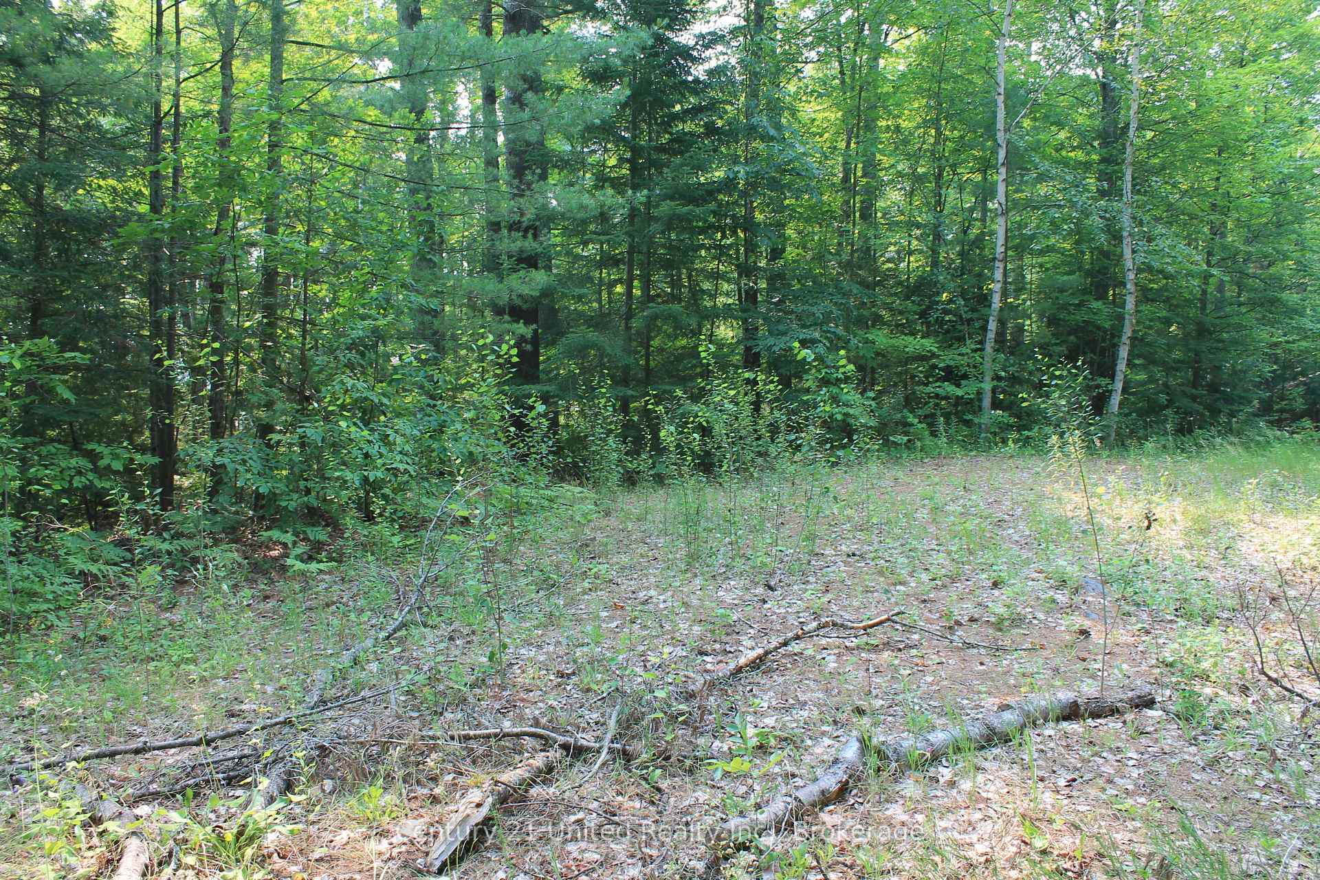 Photo 19 of 47 McKee Avenue, Trent Lakes — HOMEH