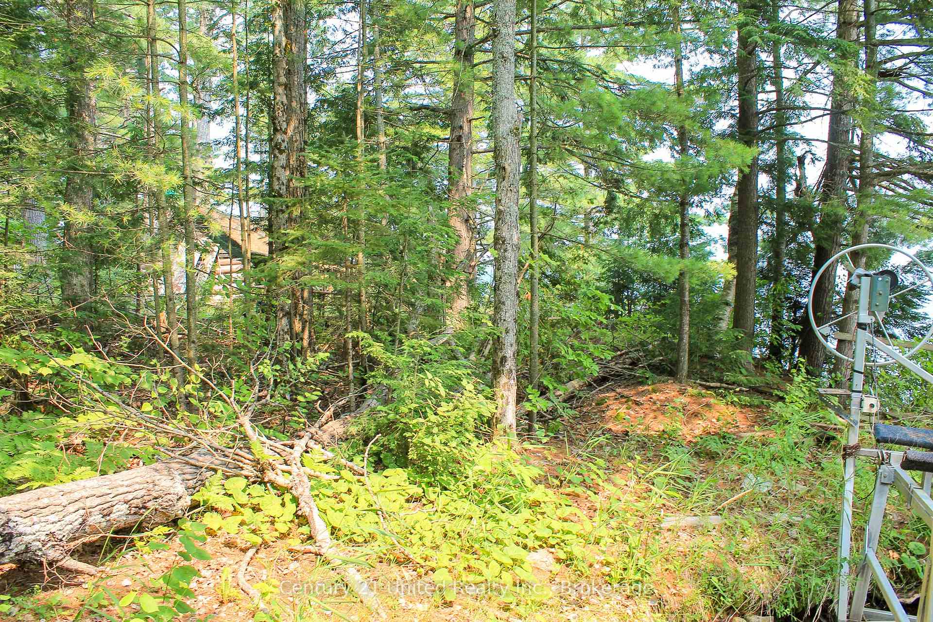 Photo 20 of 47 McKee Avenue, Trent Lakes — HOMEH