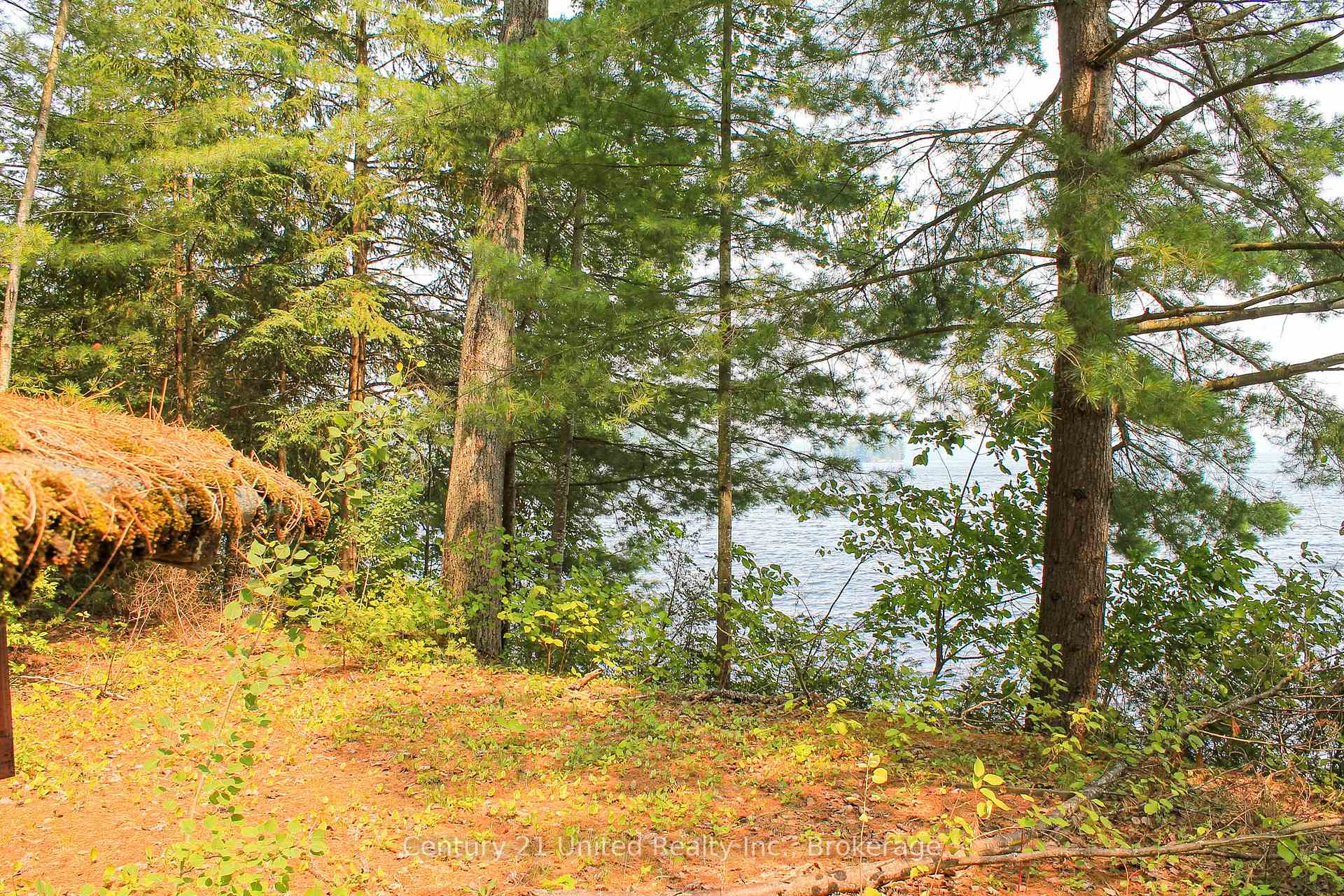 Photo 21 of 47 McKee Avenue, Trent Lakes — HOMEH