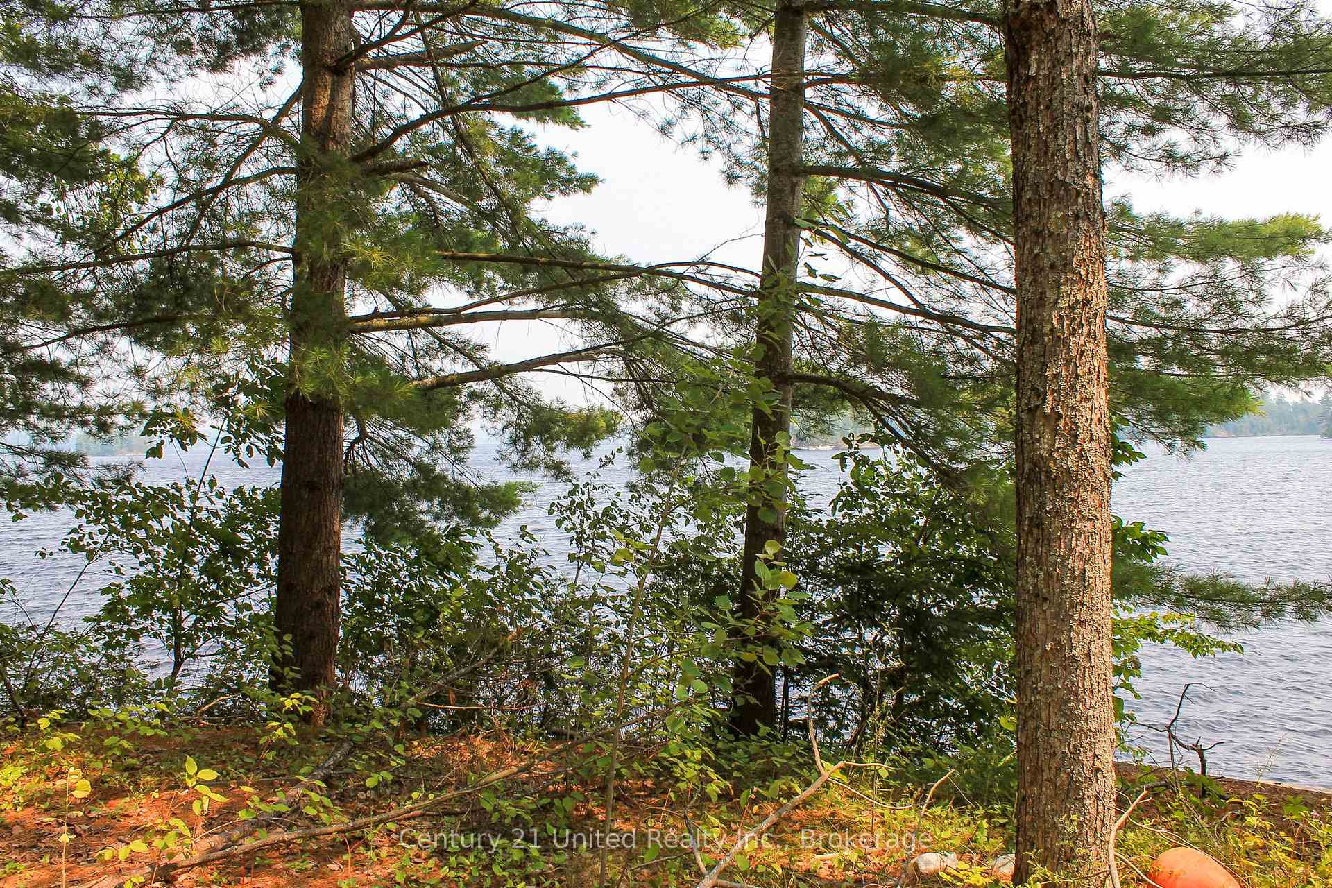 Photo 22 of 47 McKee Avenue, Trent Lakes — HOMEH