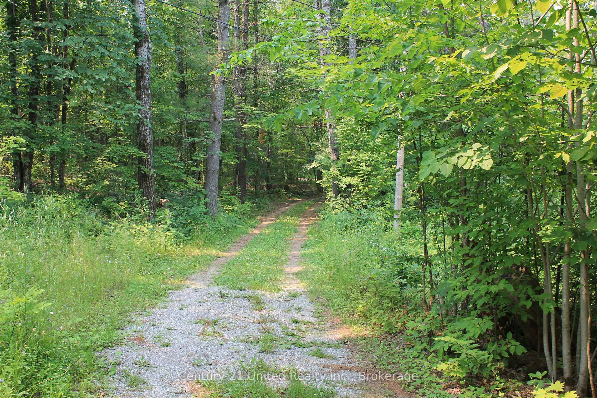Photo 23 of 47 McKee Avenue, Trent Lakes — HOMEH