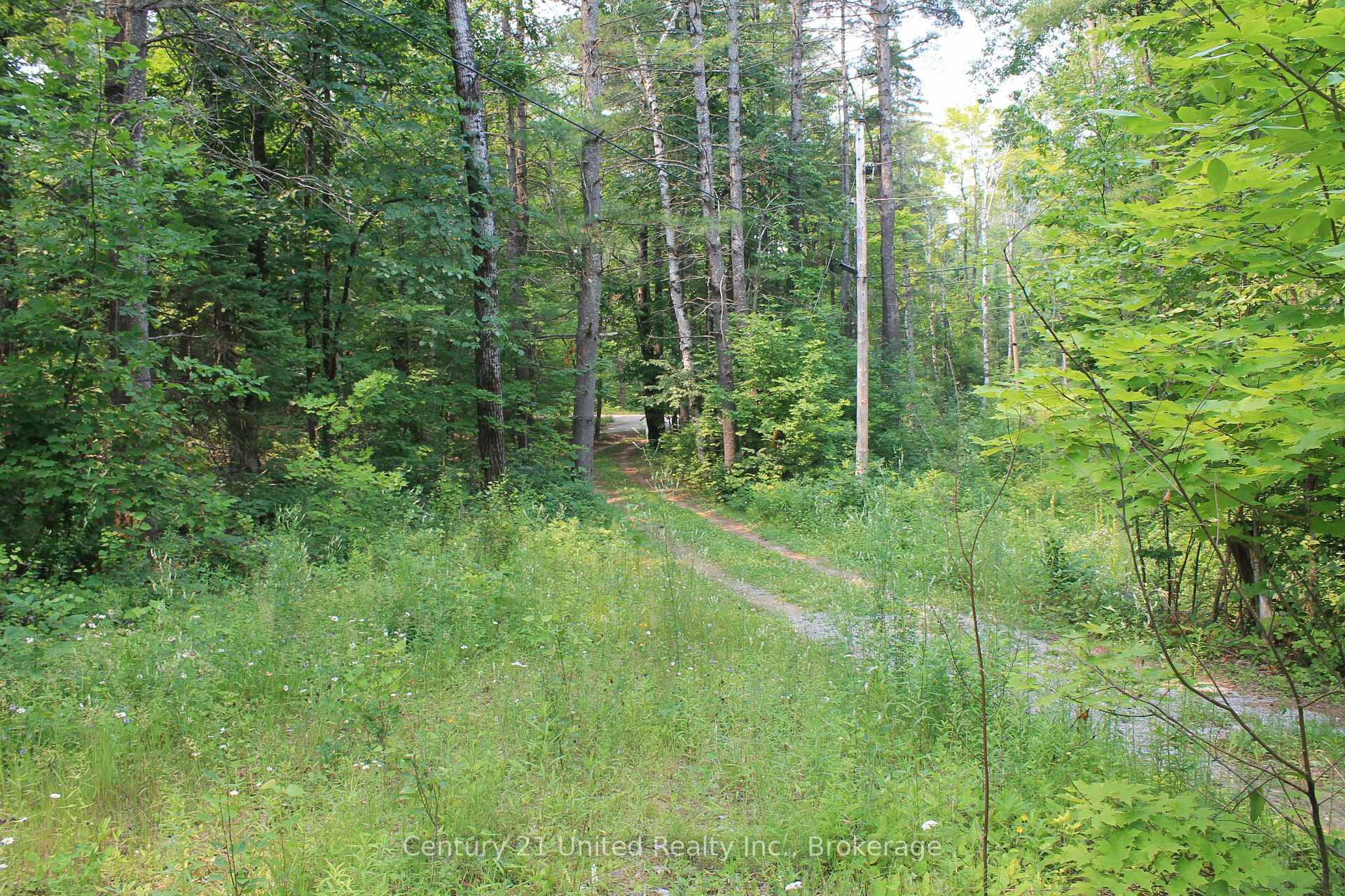 Photo 24 of 47 McKee Avenue, Trent Lakes — HOMEH