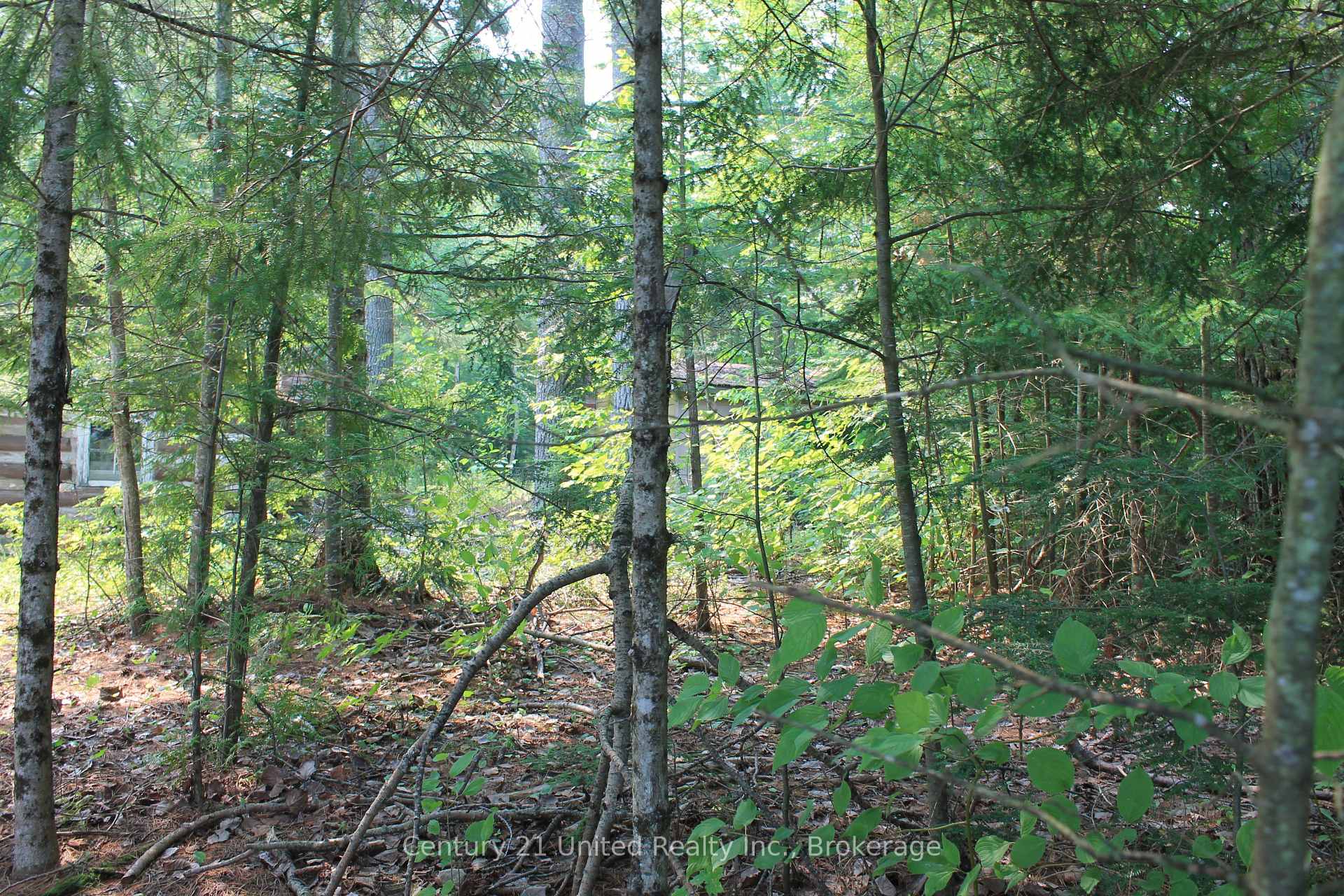 Photo 25 of 47 McKee Avenue, Trent Lakes — HOMEH