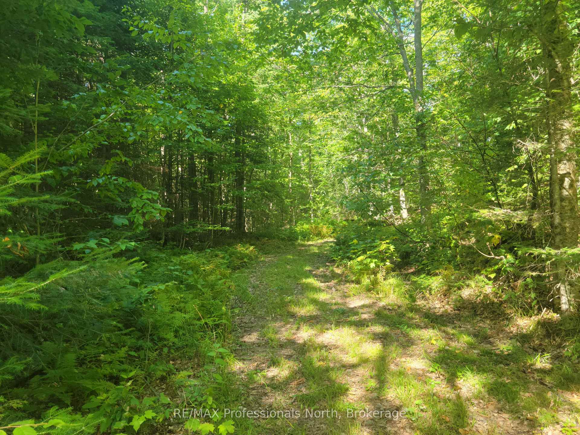 Photo 36 of 364 Forestry Tower Road, Kearney, Proudfoot — HOMEH