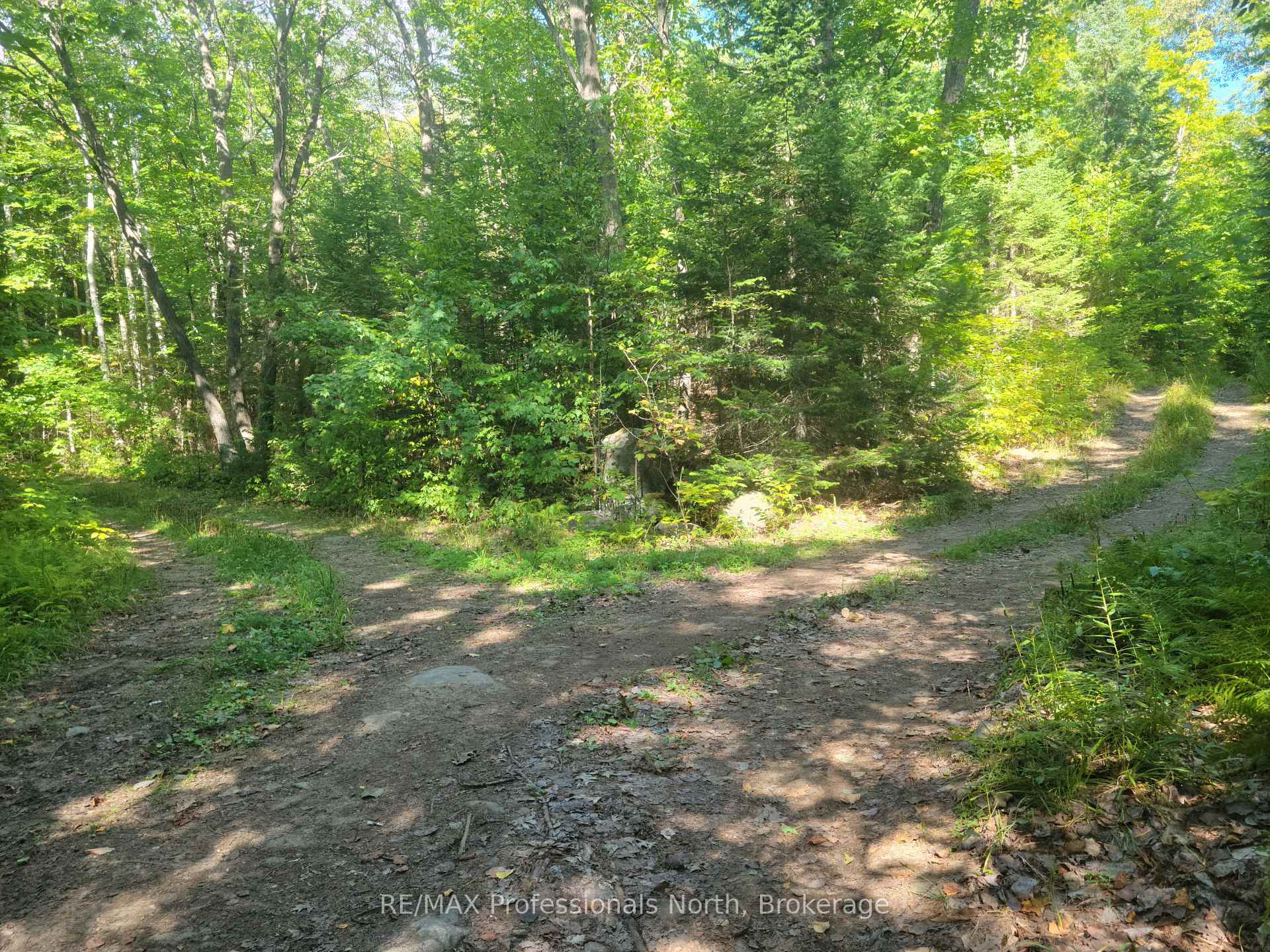 Photo 44 of 364 Forestry Tower Road, Kearney, Proudfoot — HOMEH